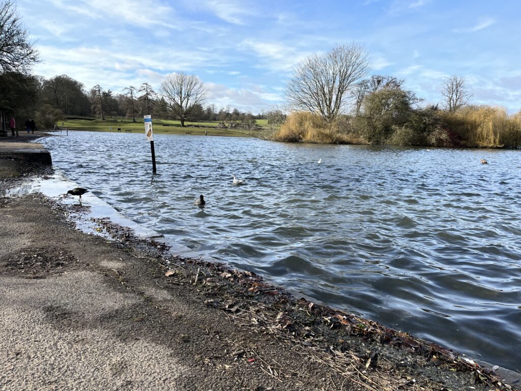 Verulamium Lake