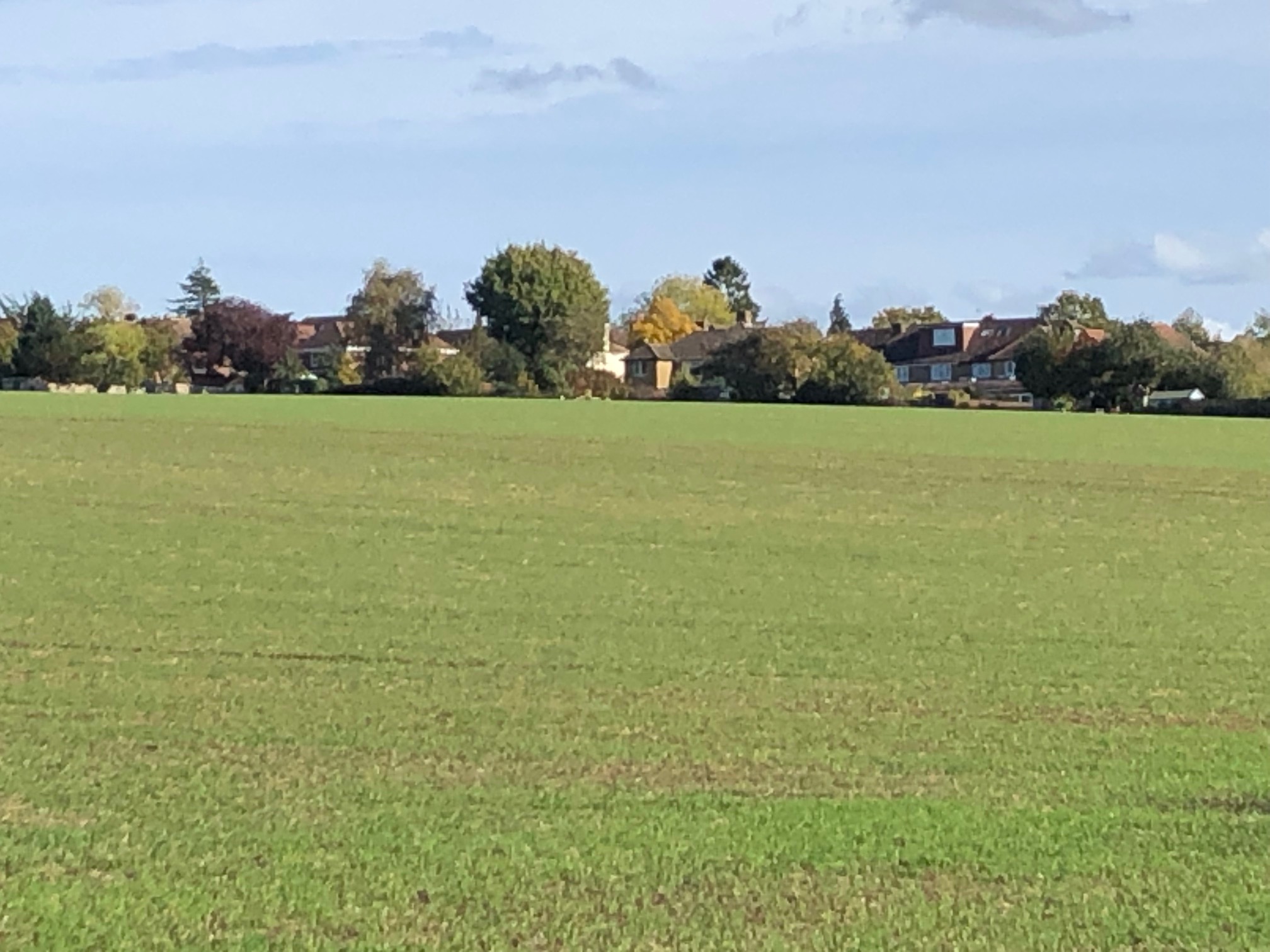 Developers want to build homes on this Green Belt land to the north-west of Harpenden.