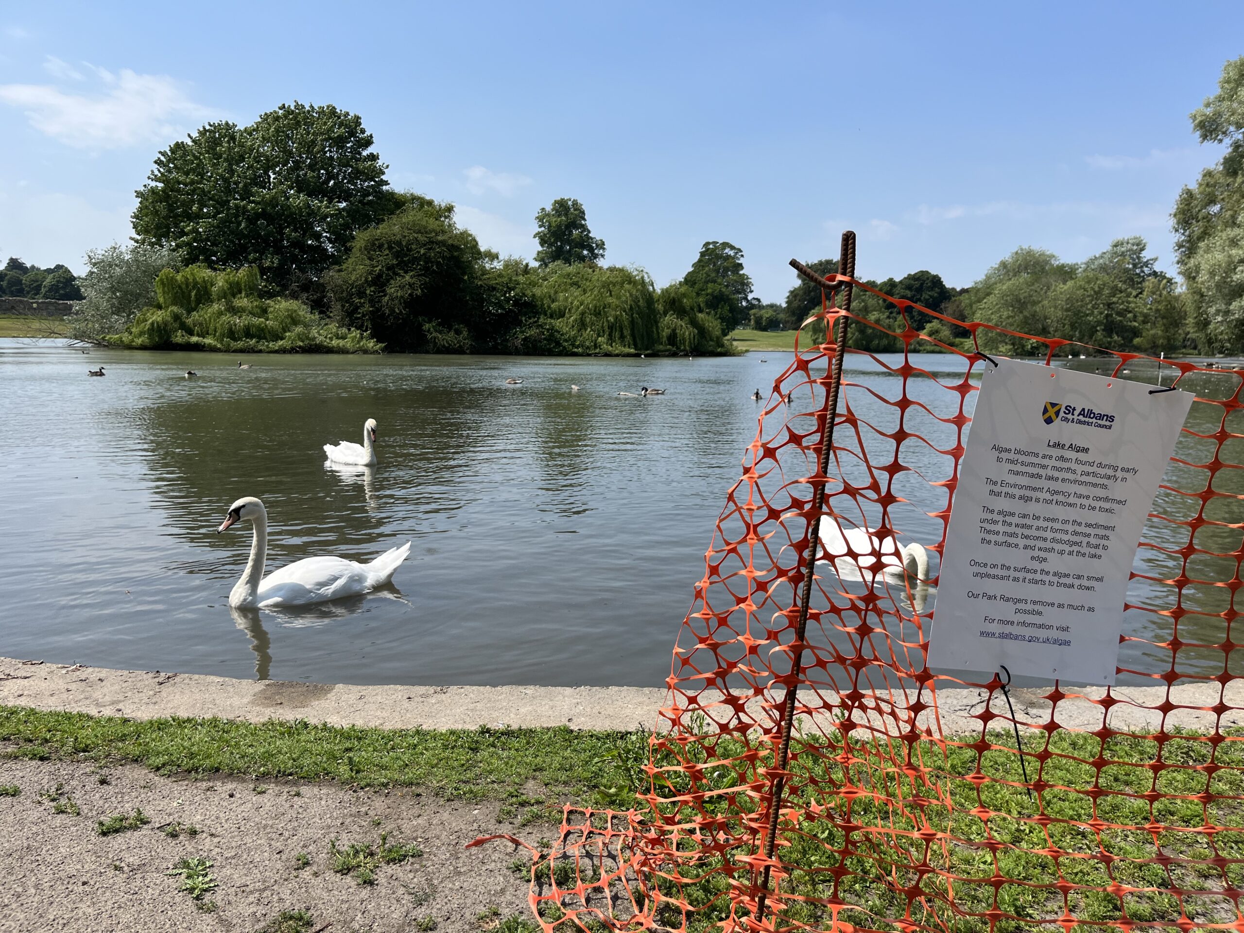 Verulamium Lake.