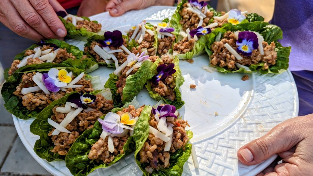 Minced chicken wrapped in gem lettuce.