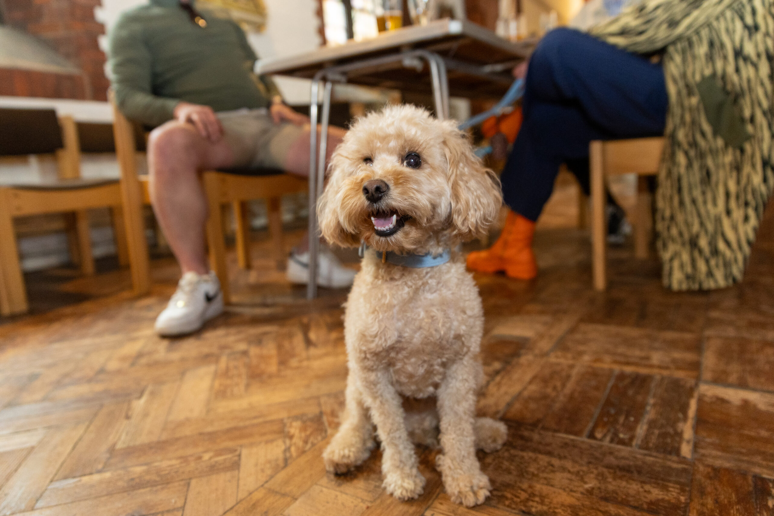 St Saviour's Beer and Fizz Festival 2023. Photo by Toby Shepheard.