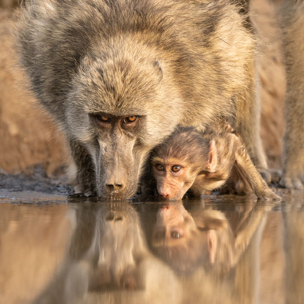 Time for a Drink by Ali Asplin.