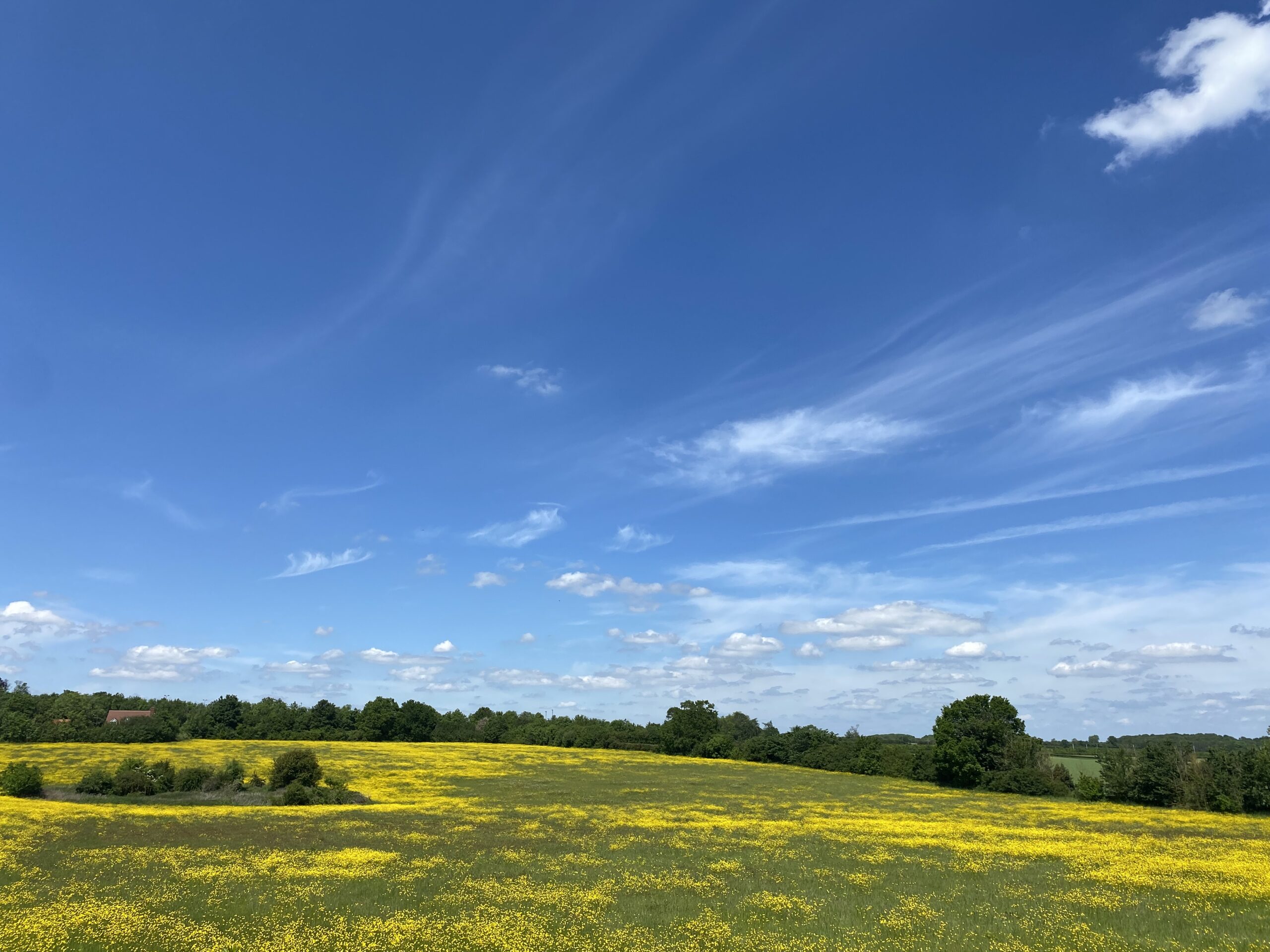 Land in north St Albans which could be developed for housing.