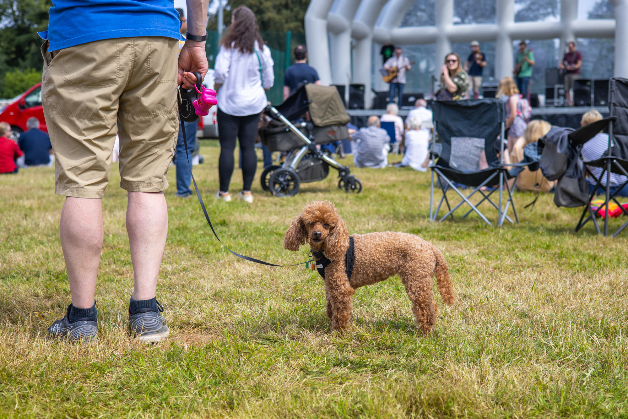 Harpenden Highland Gathering 2023: photo by Steve Collins.