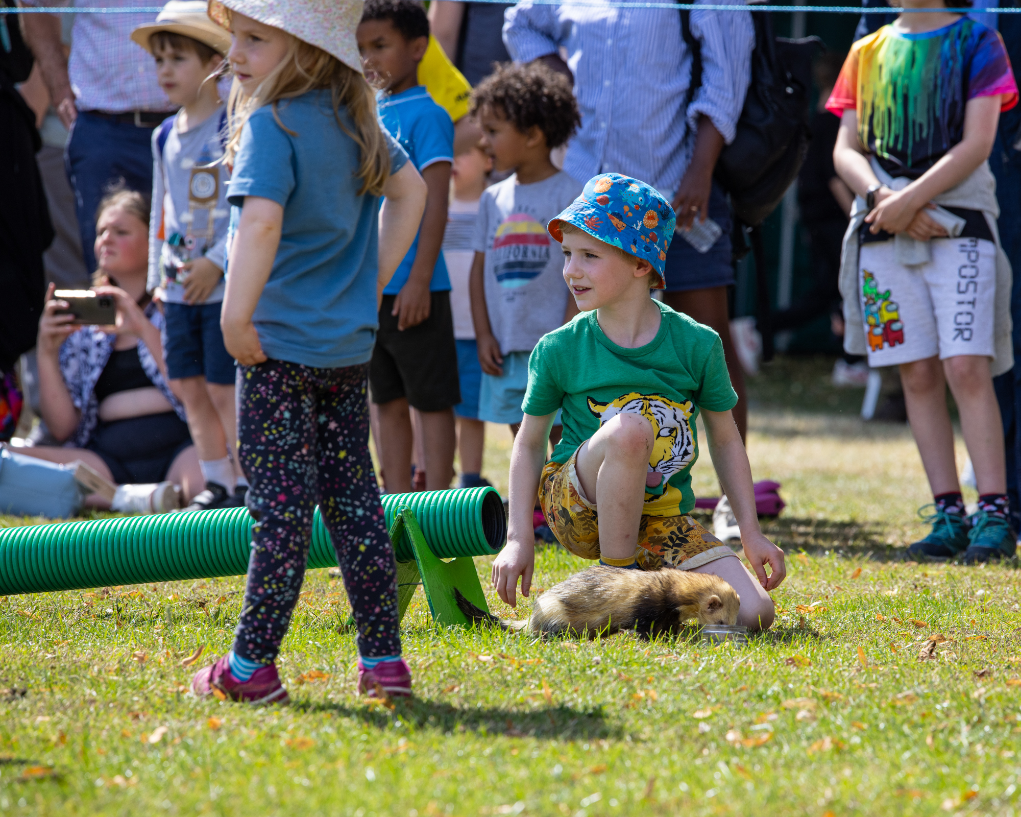 Harpenden Highland Gathering 2023: photo by Steve Collins.
