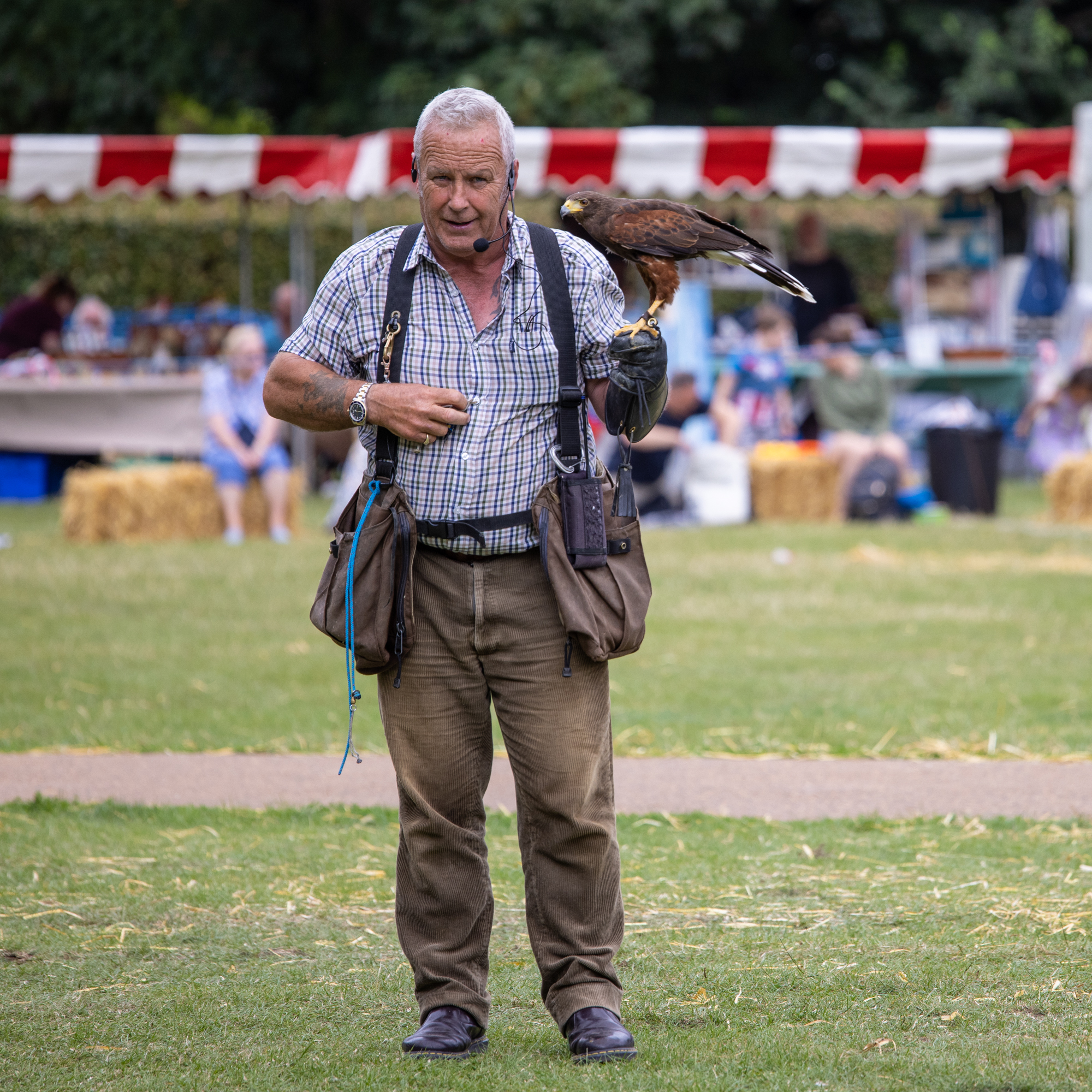 Harpenden Highland Gathering 2023: photo by Steve Collins.