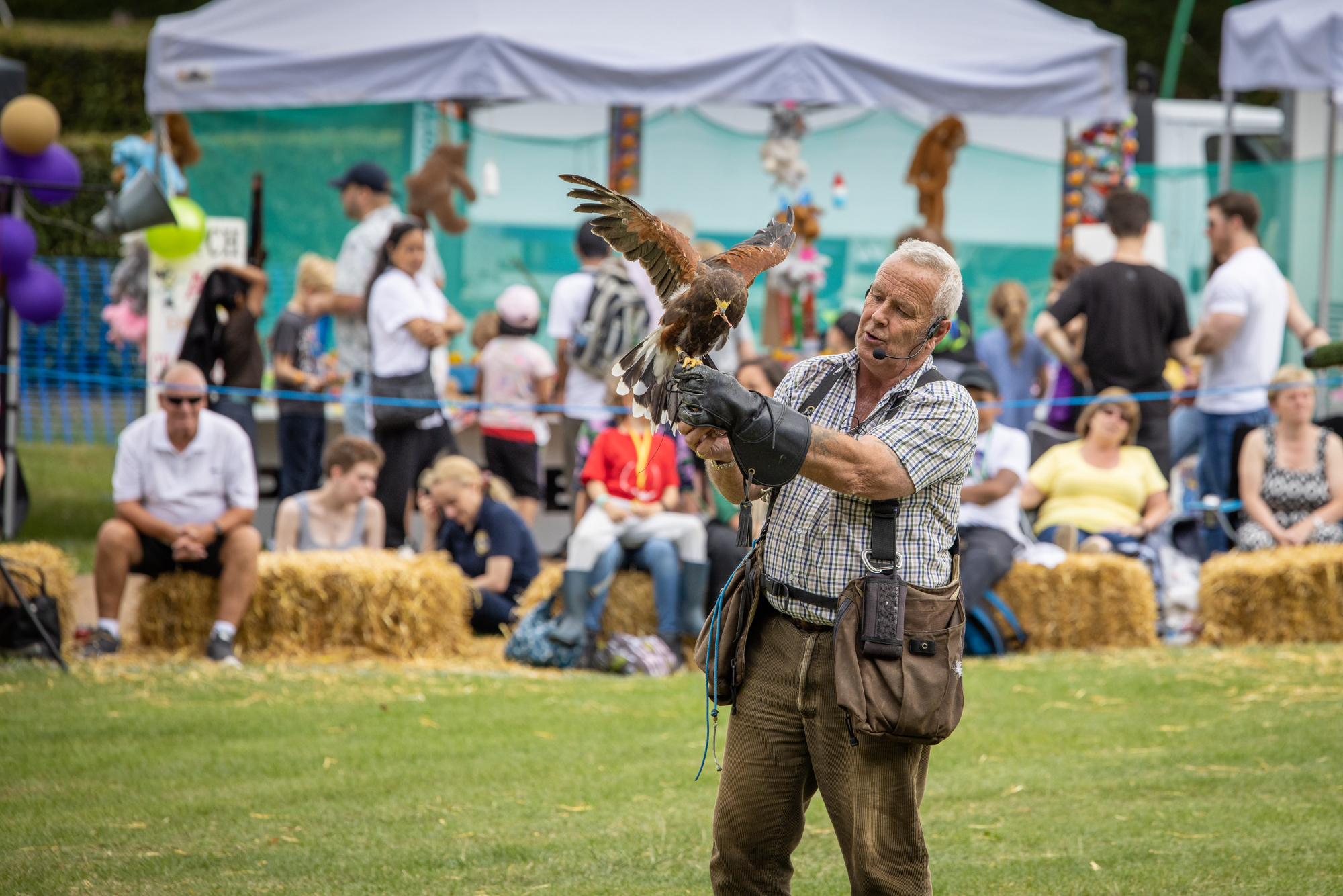 Harpenden Highland Gathering 2023: photo by Steve Collins.