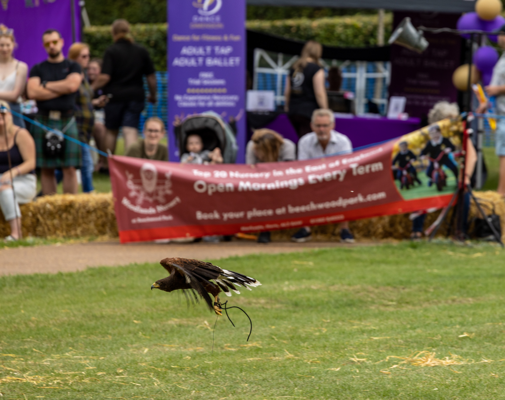 Harpenden Highland Gathering 2023: photo by Steve Collins.