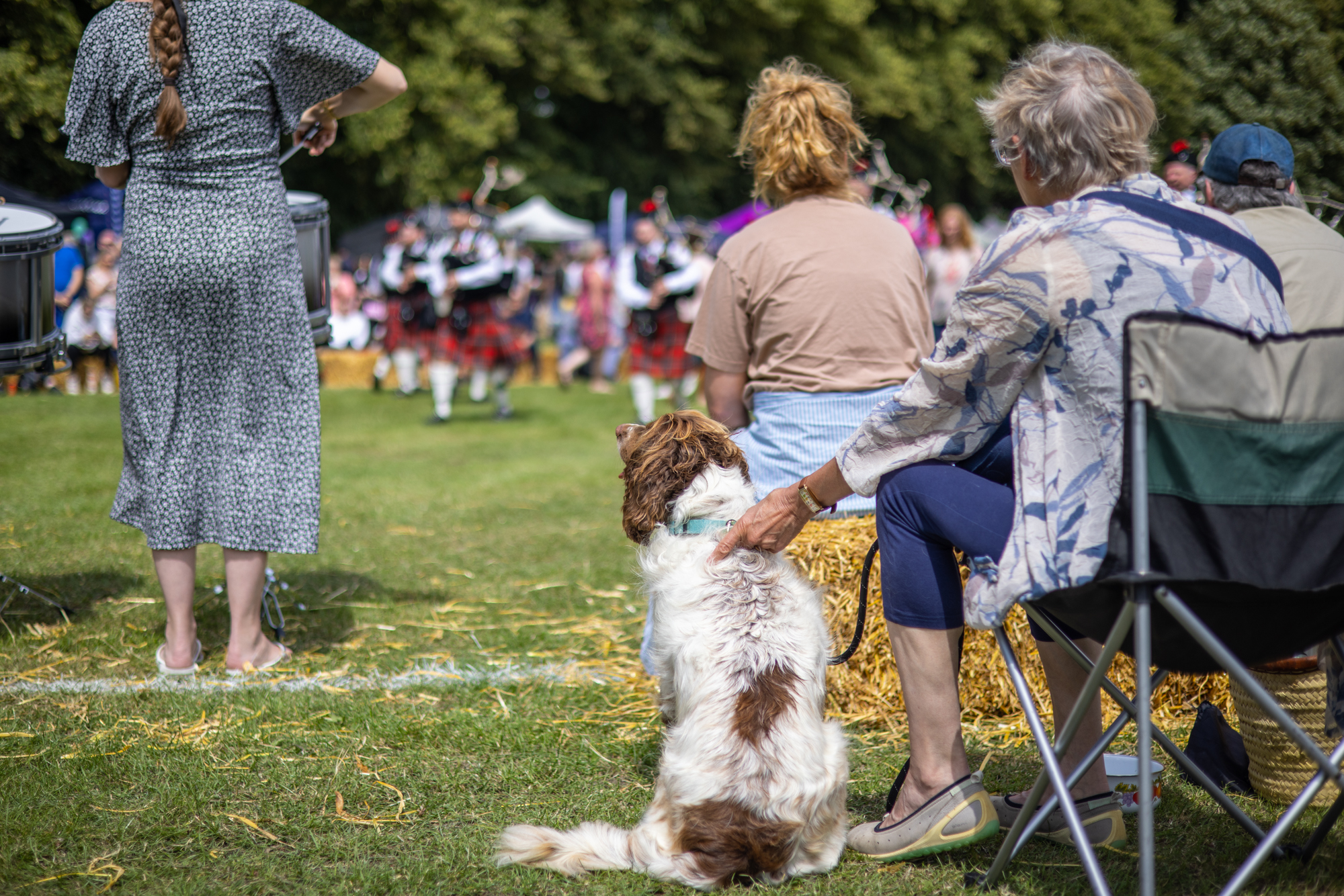 Harpenden Highland Gathering 2023: photo by Steve Collins.