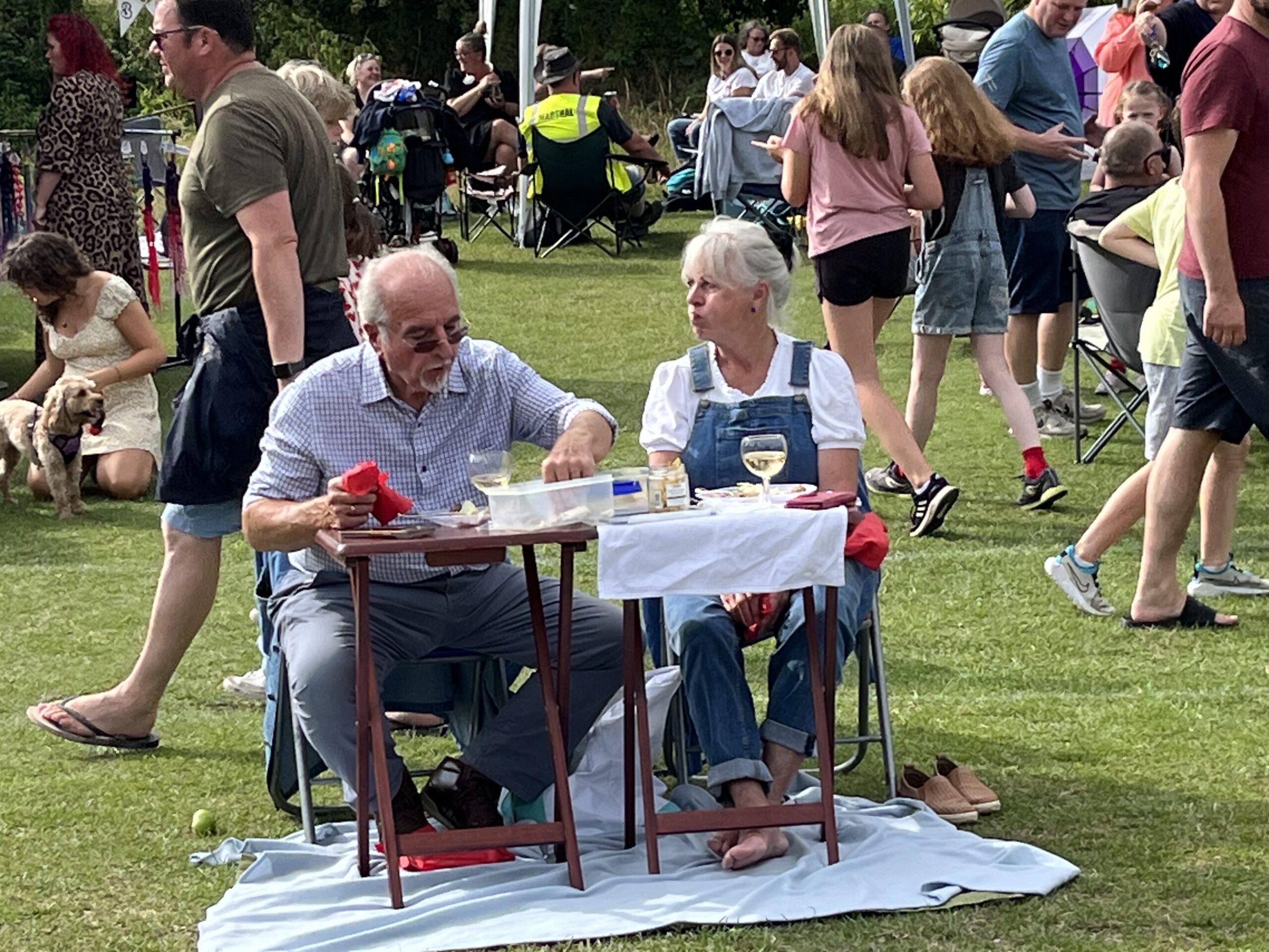 Wheathampstead Village Weekend 2023.