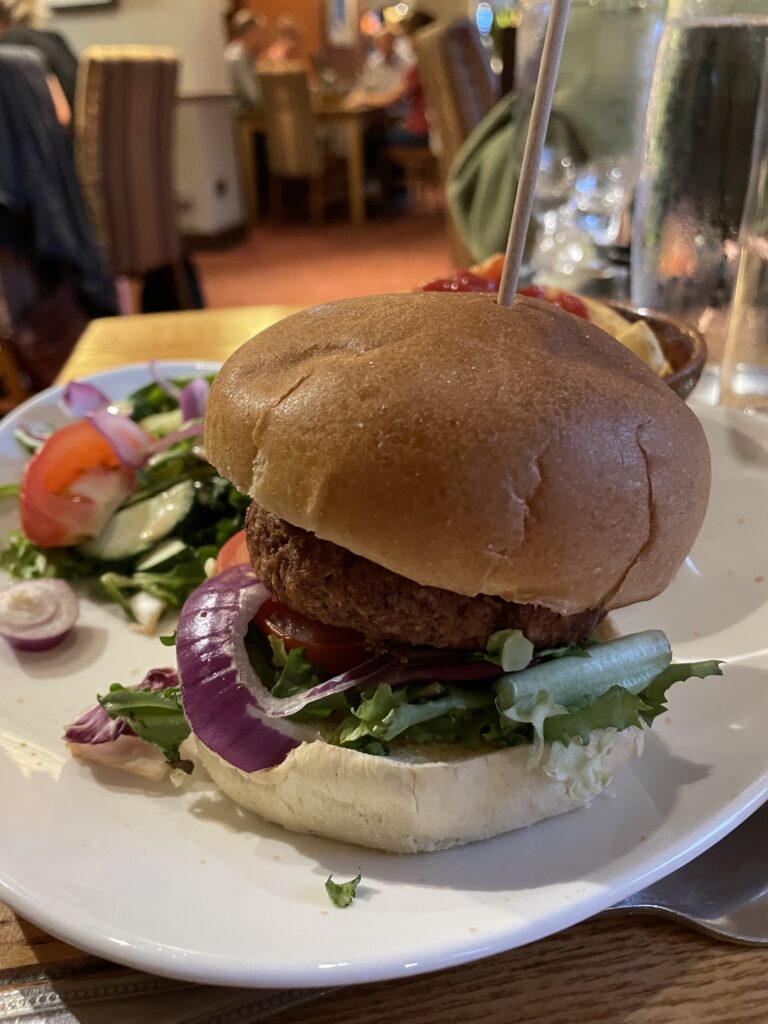 Burger and chips at the King Will IV.
