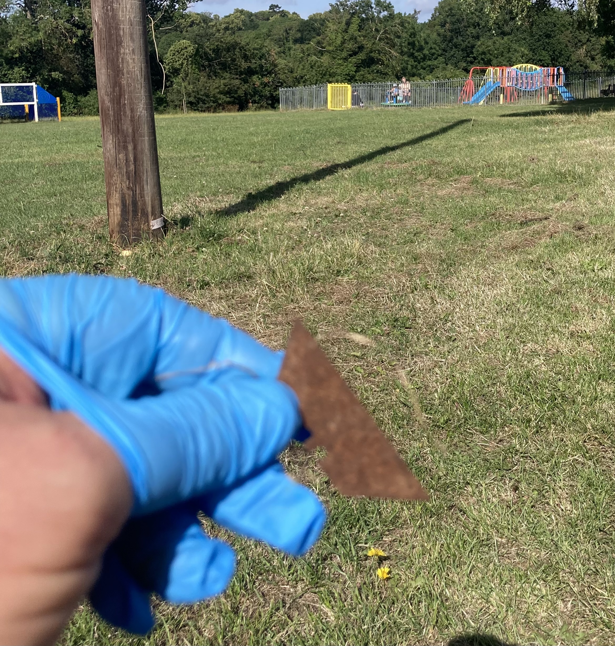 Some of the dangerous items found in the New Greens area.