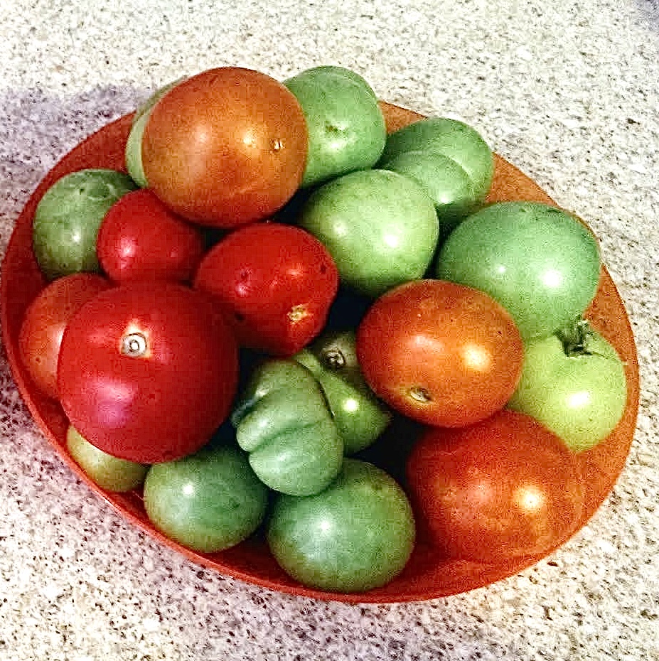 A lovely plate of fresh tomatoes.
