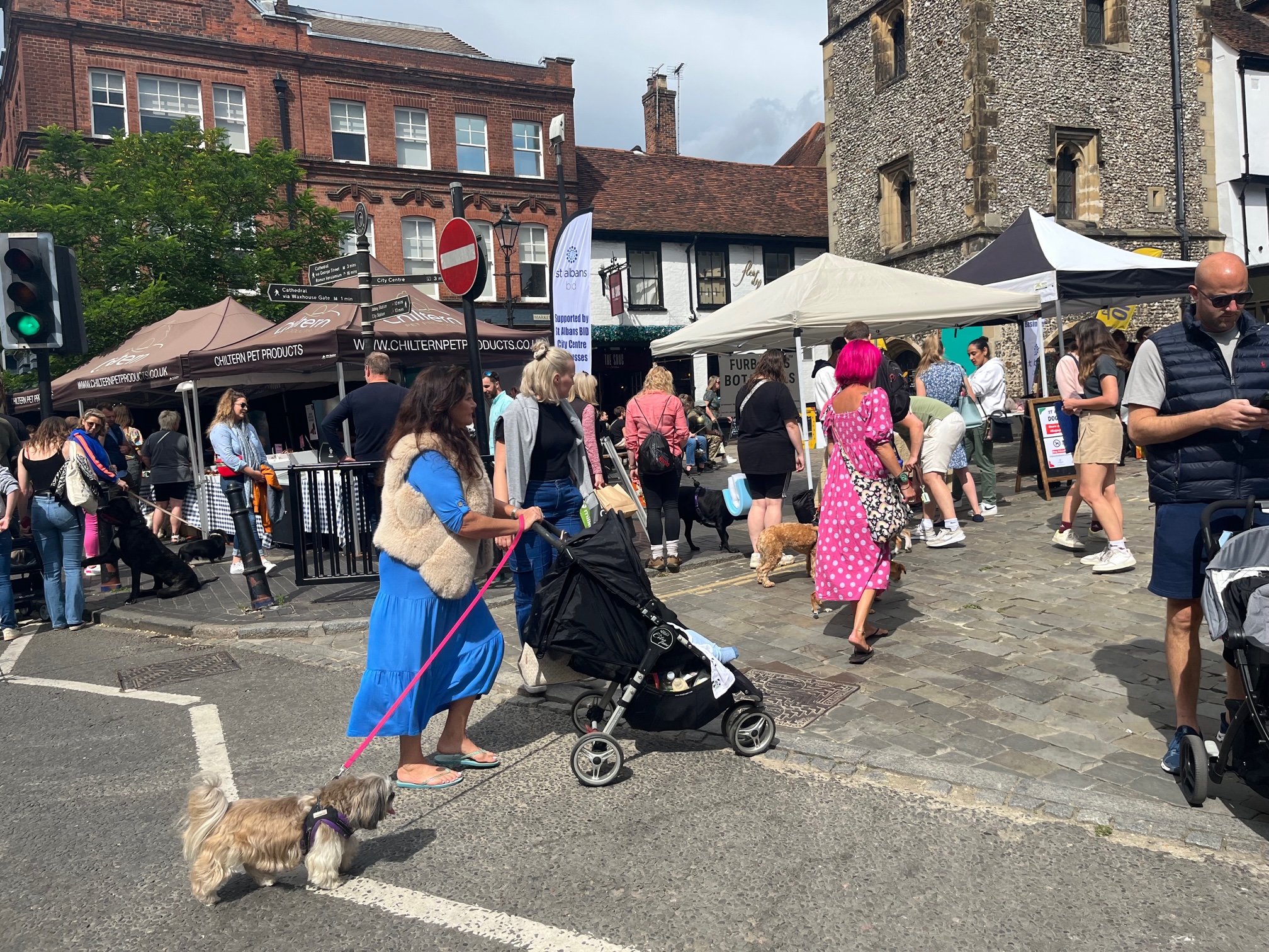 St Albans' first Dog Day.