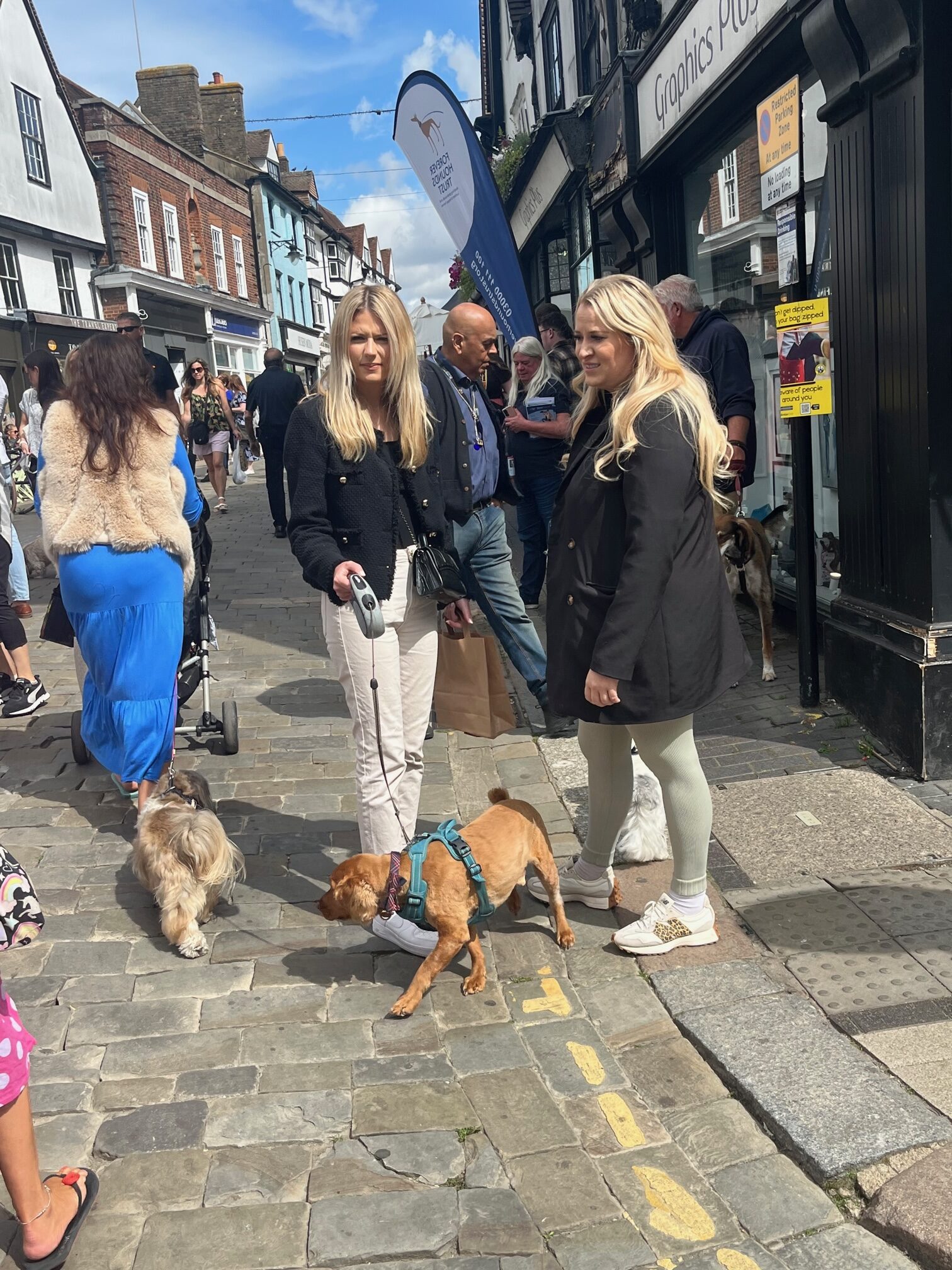 St Albans' first Dog Day.