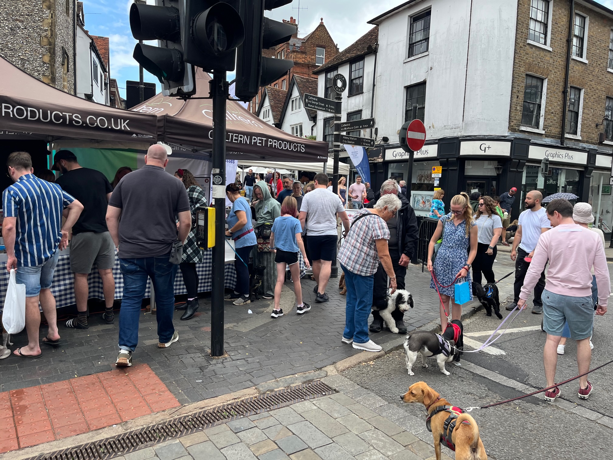 St Albans' first Dog Day.