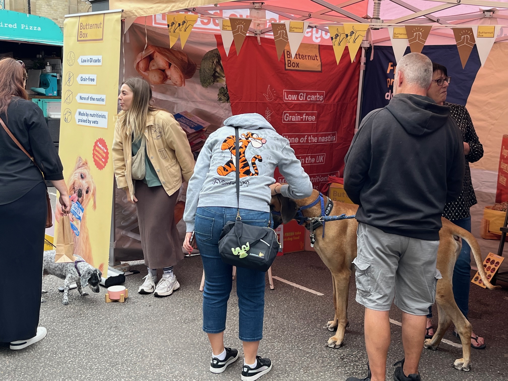 St Albans' first Dog Day.