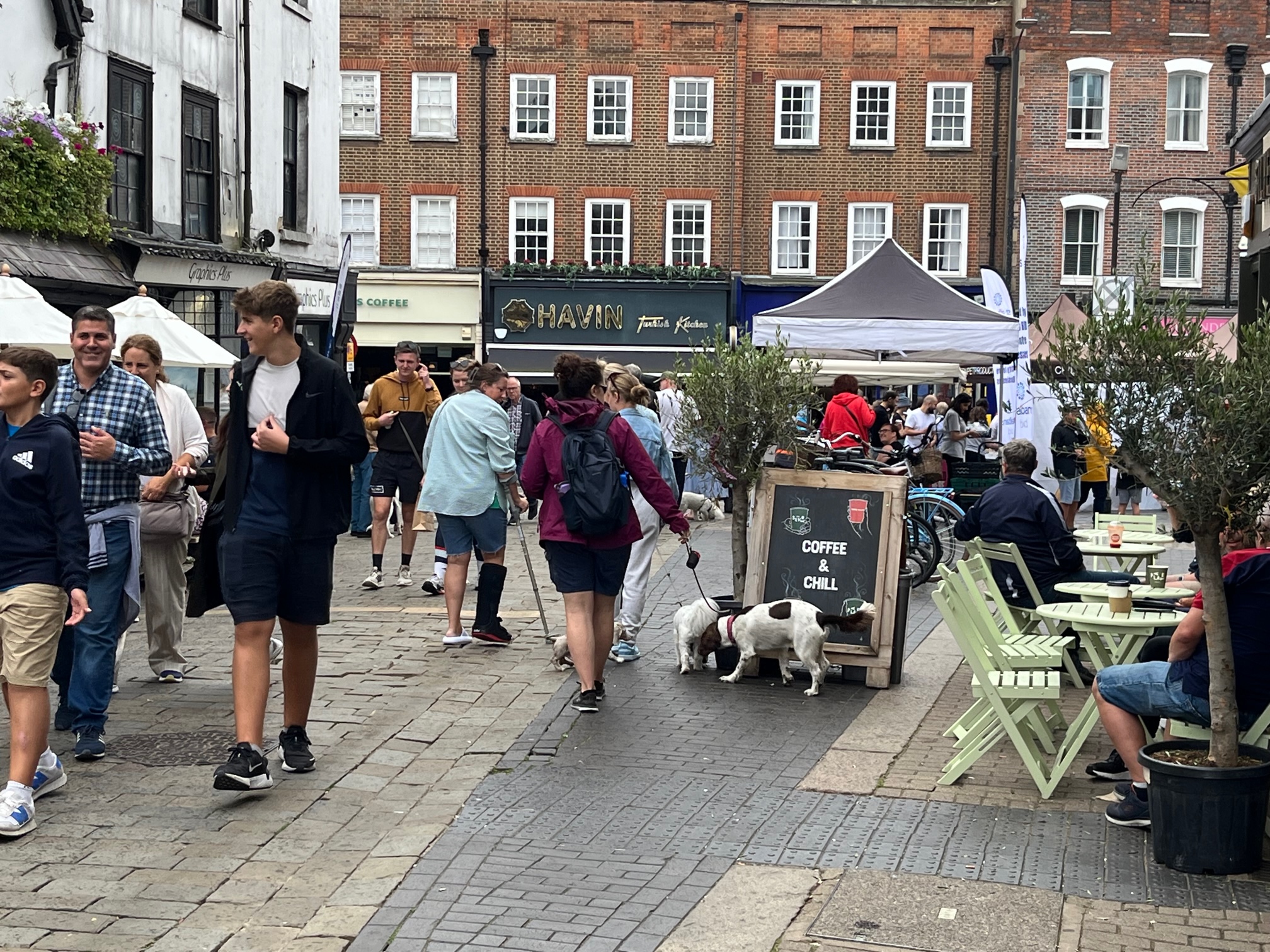 St Albans' first Dog Day.