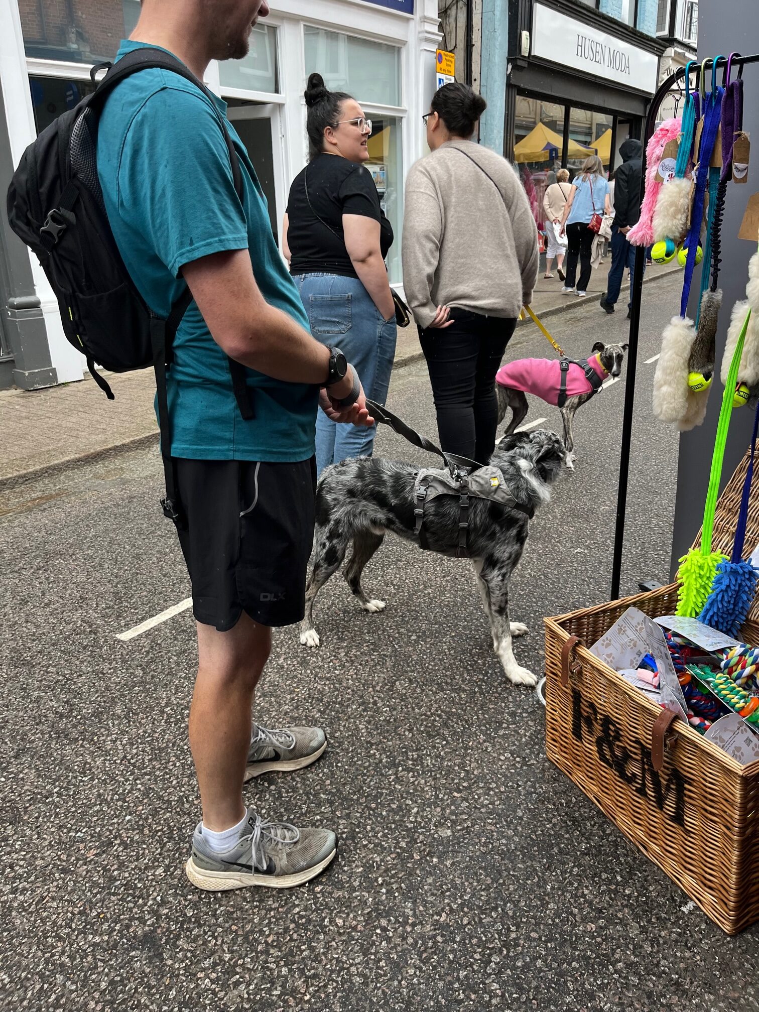 St Albans' first Dog Day.