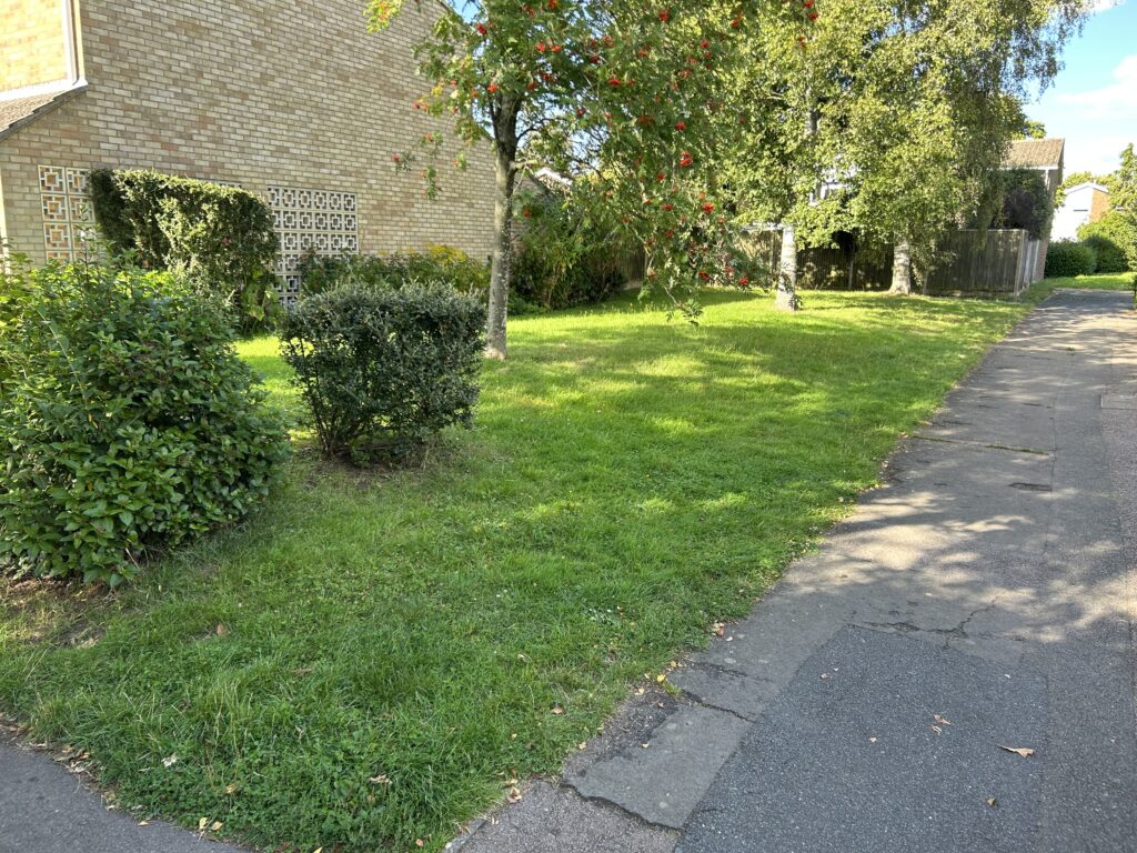 The site next to 24 Lindum Place where plans have been submitted for a three-bedroom house.