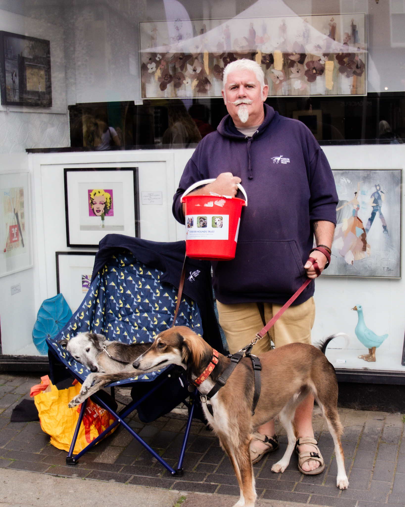St Albans' first Dog Day. Photo: Lee Romi (photofabulousuk@gmail.com)