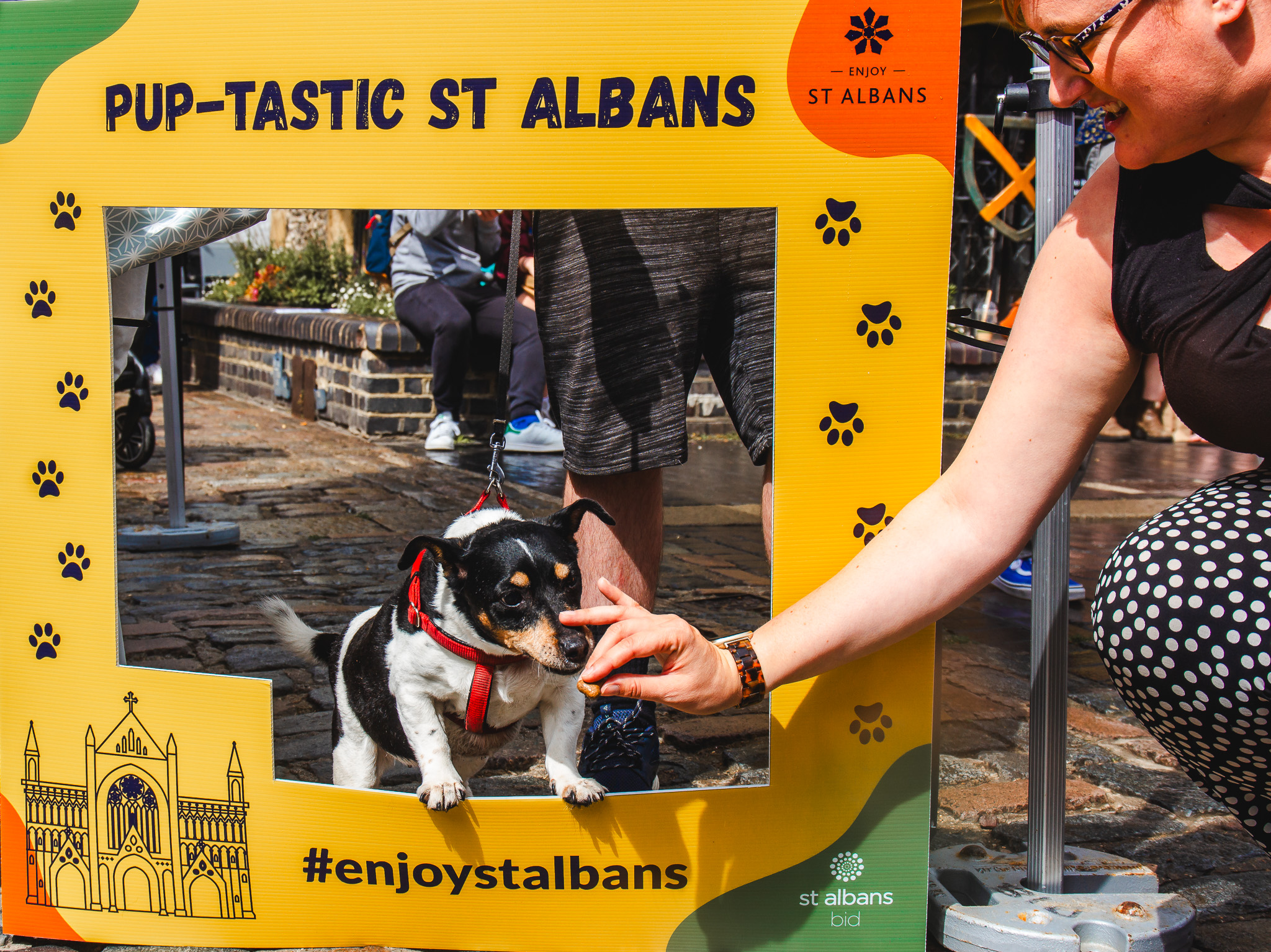 St Albans' first Dog Day. Photo: Lee Romi (photofabulousuk@gmail.com)