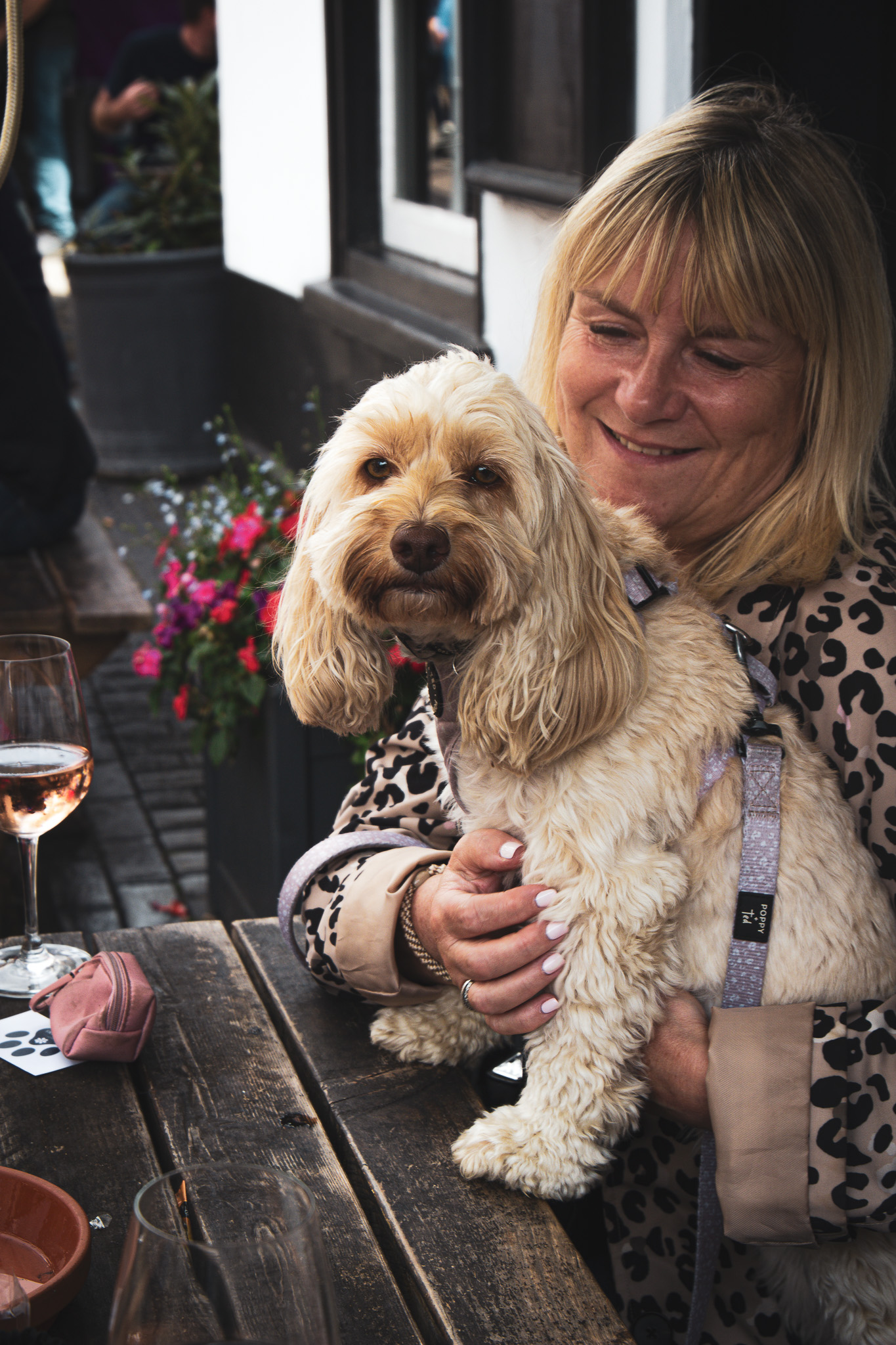 St Albans' first Dog Day. Photo: Lee Romi (photofabulousuk@gmail.com)