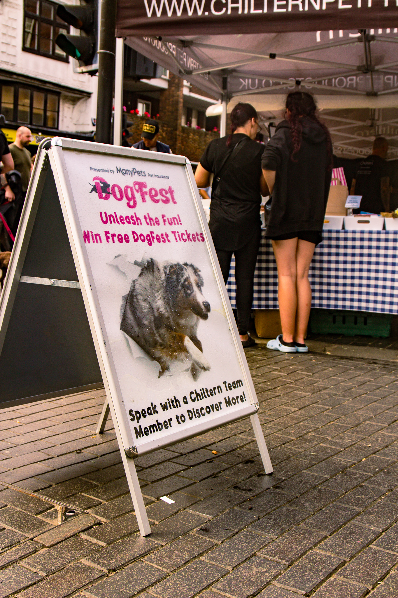 St Albans' first Dog Day. Photo: Lee Romi (photofabulousuk@gmail.com)