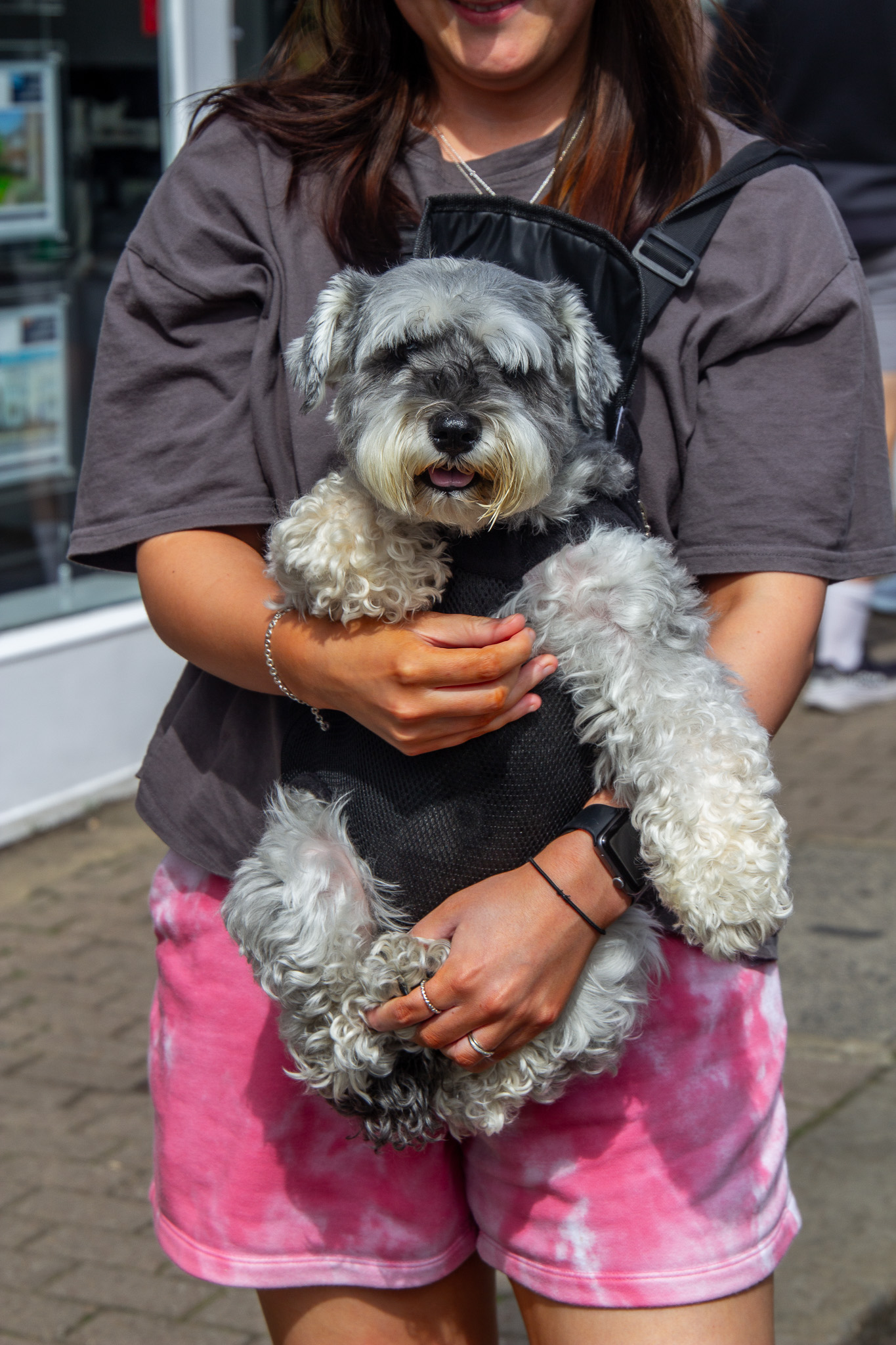St Albans' first Dog Day. Photo: Lee Romi (photofabulousuk@gmail.com)