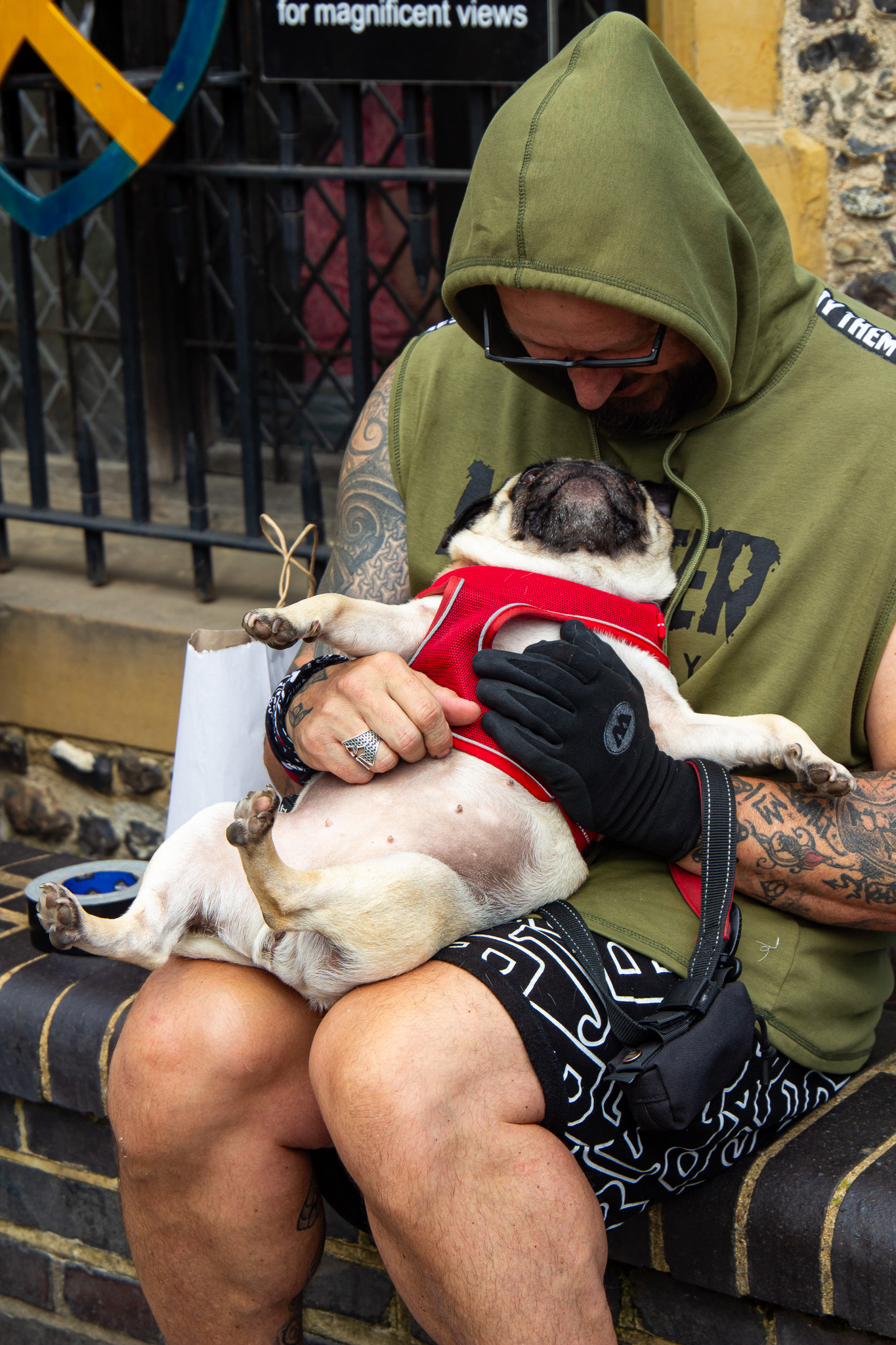 St Albans' first Dog Day. Photo: Lee Romi (photofabulousuk@gmail.com)