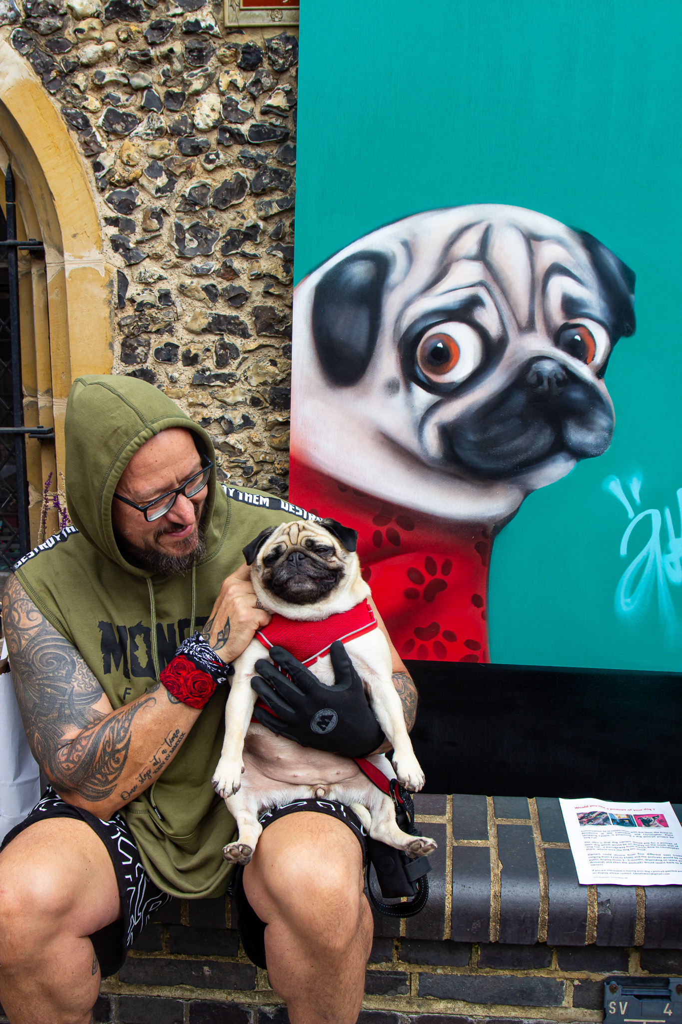 St Albans' first Dog Day. Photo: Lee Romi (photofabulousuk@gmail.com)