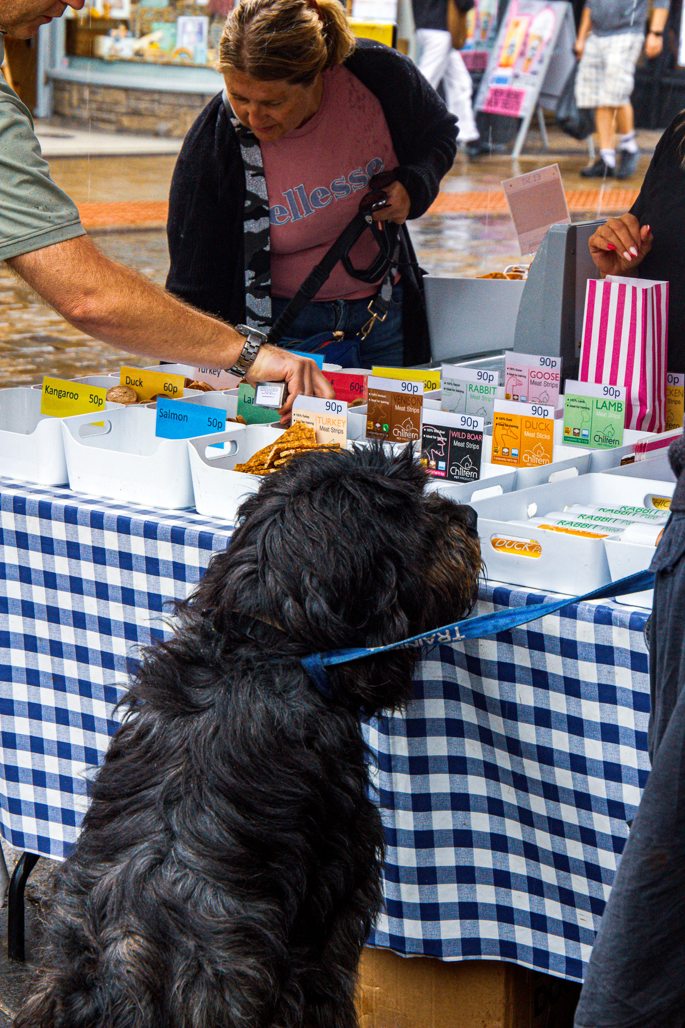 St Albans' first Dog Day. Photo: Lee Romi (photofabulousuk@gmail.com)