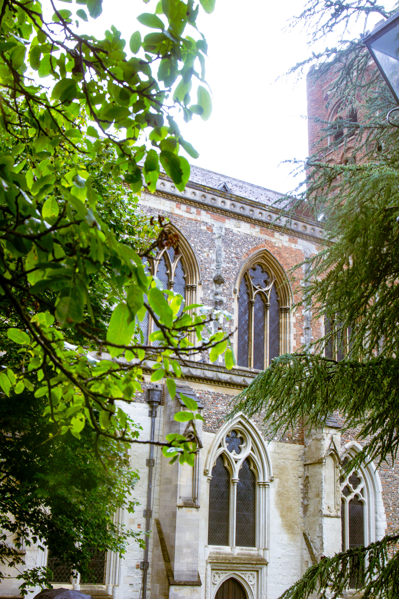 St Albans' first Dog Day. Photo: Lee Romi (photofabulousuk@gmail.com)