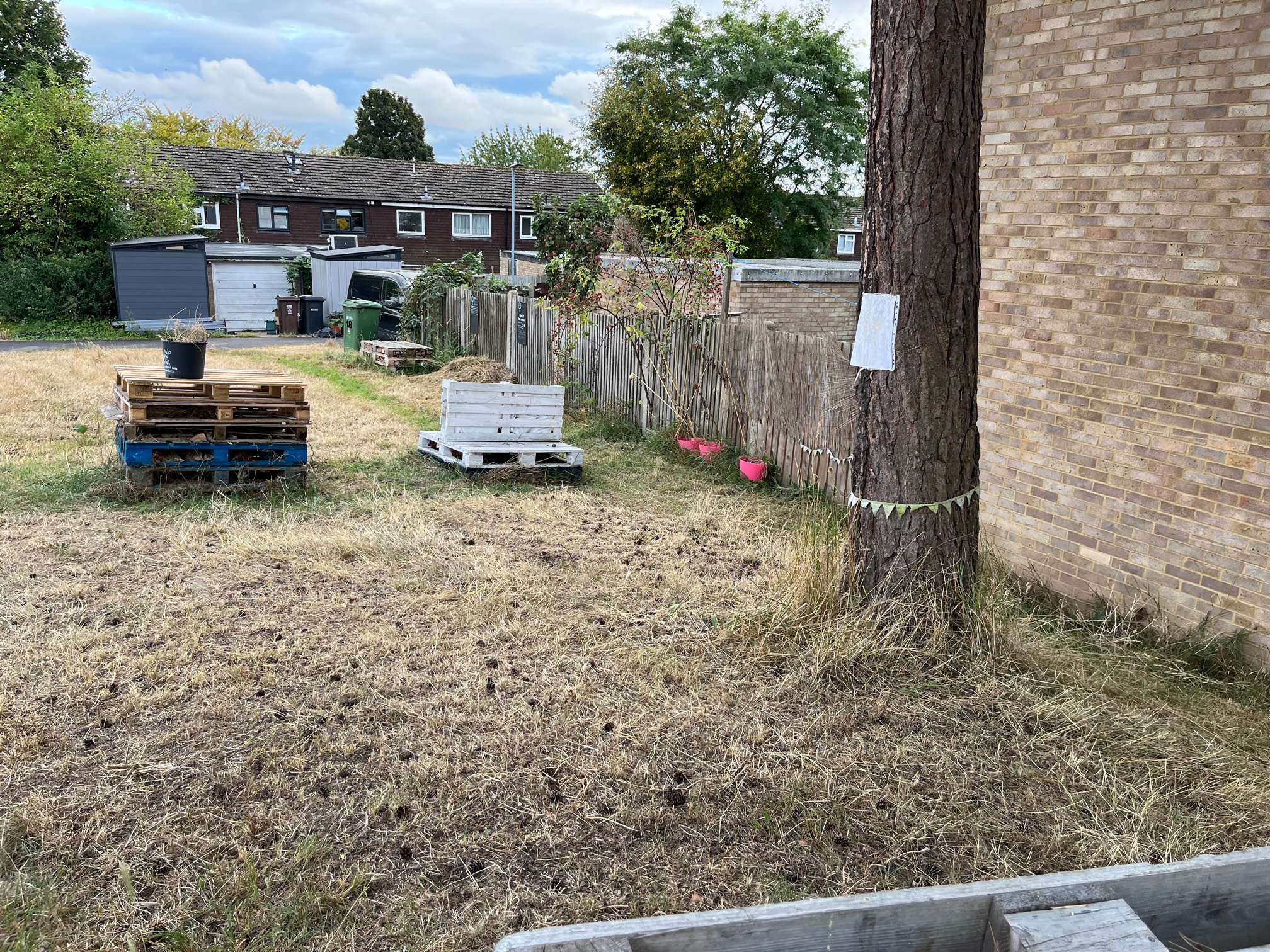 Martyr mini-meadow following the mowing.