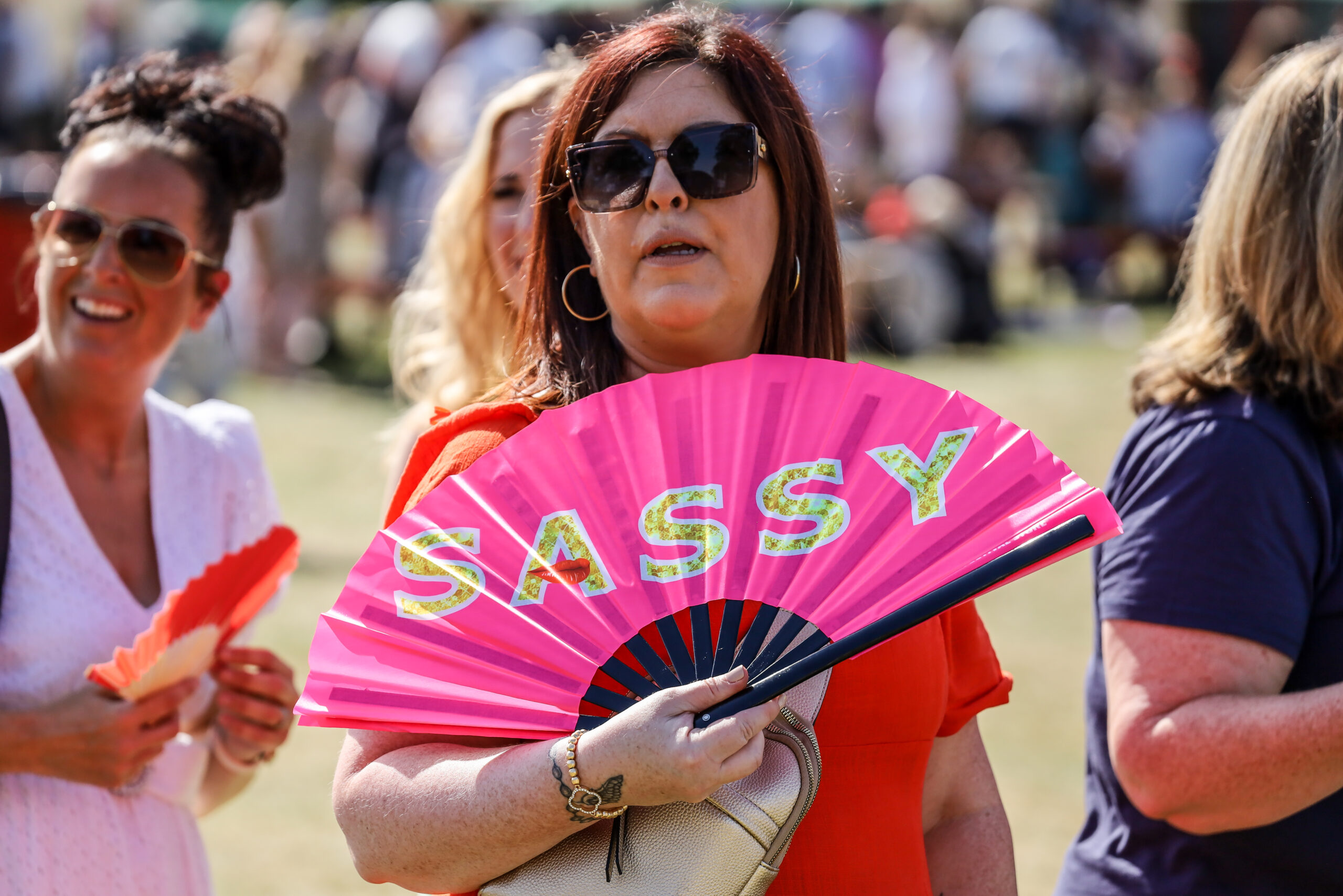 Pub in the Park St Albans 2023. Photo: Steve Fothergill.