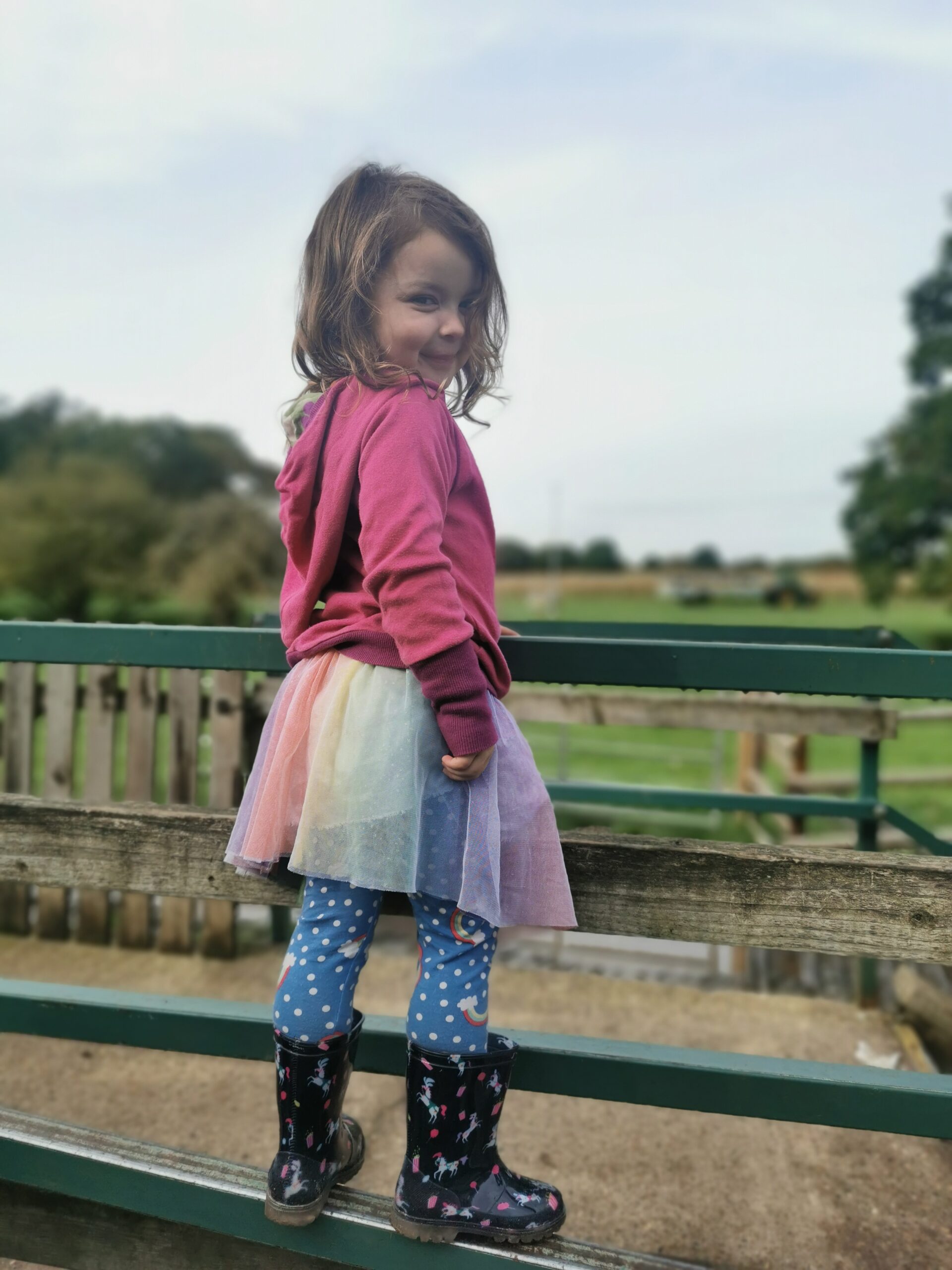 Halloween Pumpkin Festival at Willows Activity Farm.
