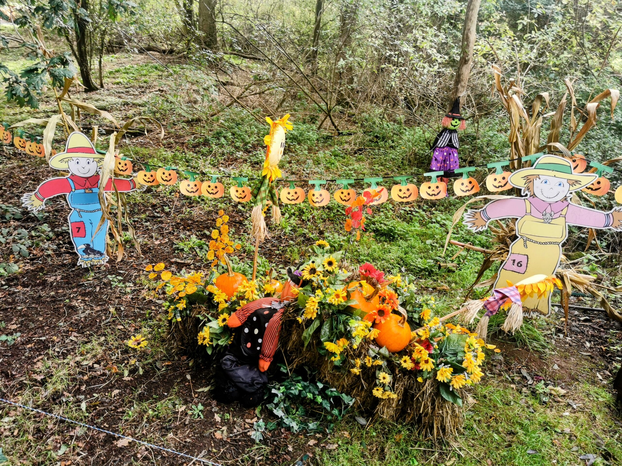 Halloween Pumpkin Festival at Willows Activity Farm.