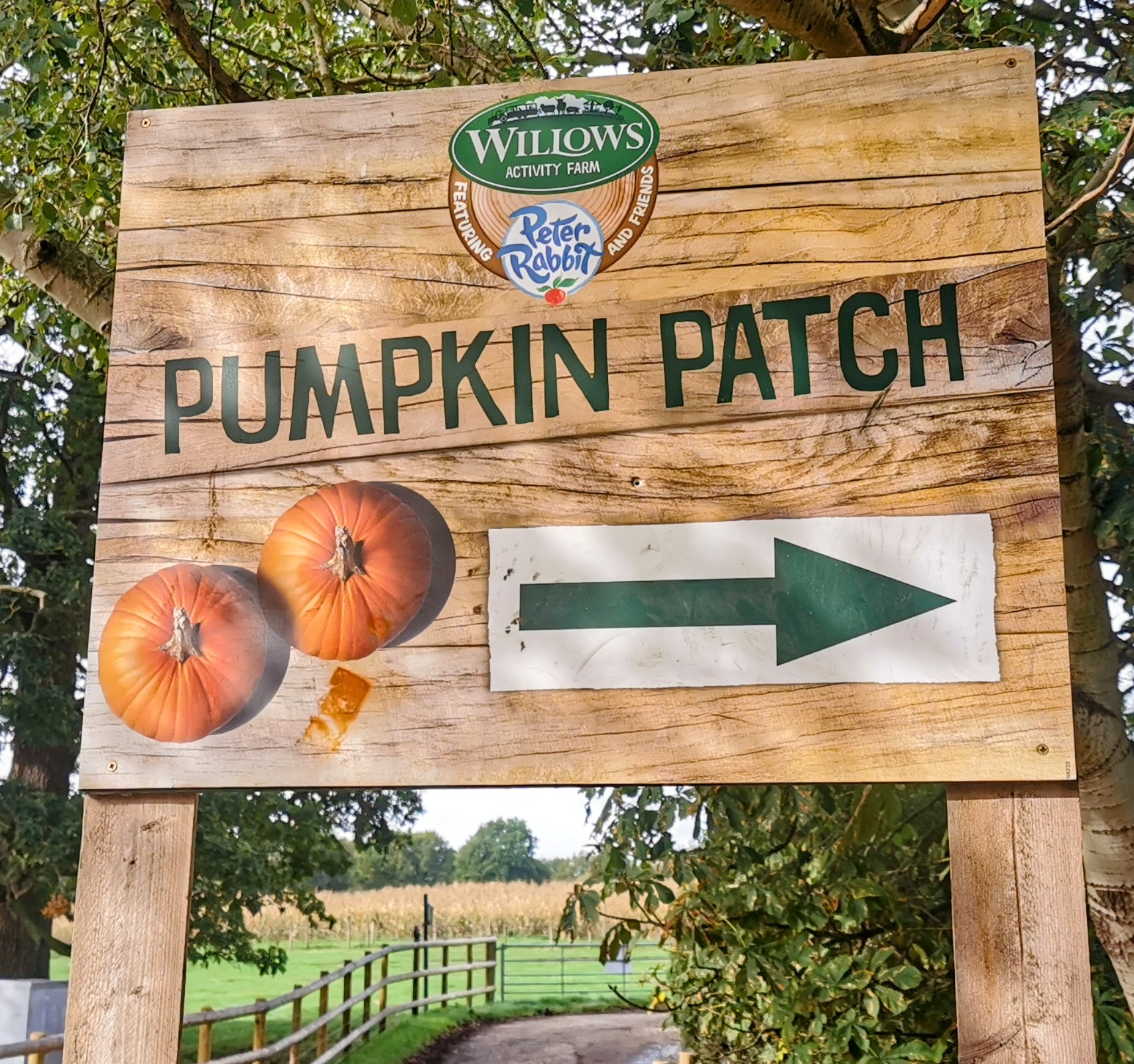 Halloween Pumpkin Festival at Willows Activity Farm.