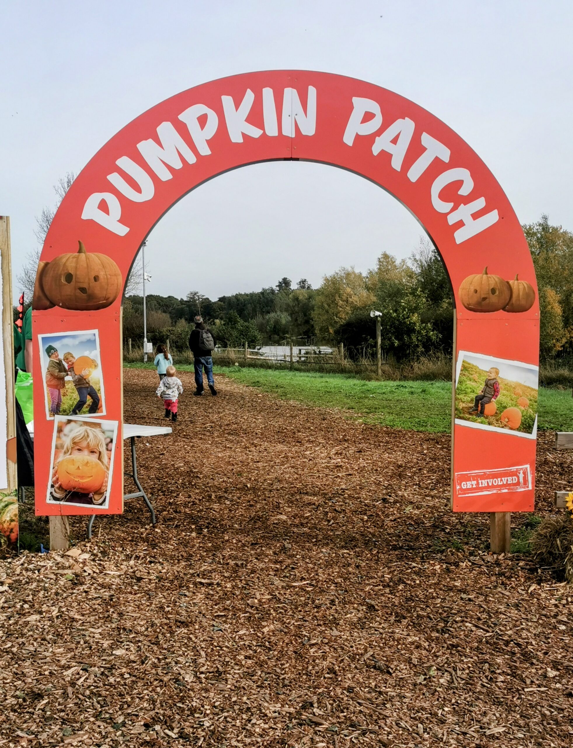 Halloween Pumpkin Festival at Willows Activity Farm.