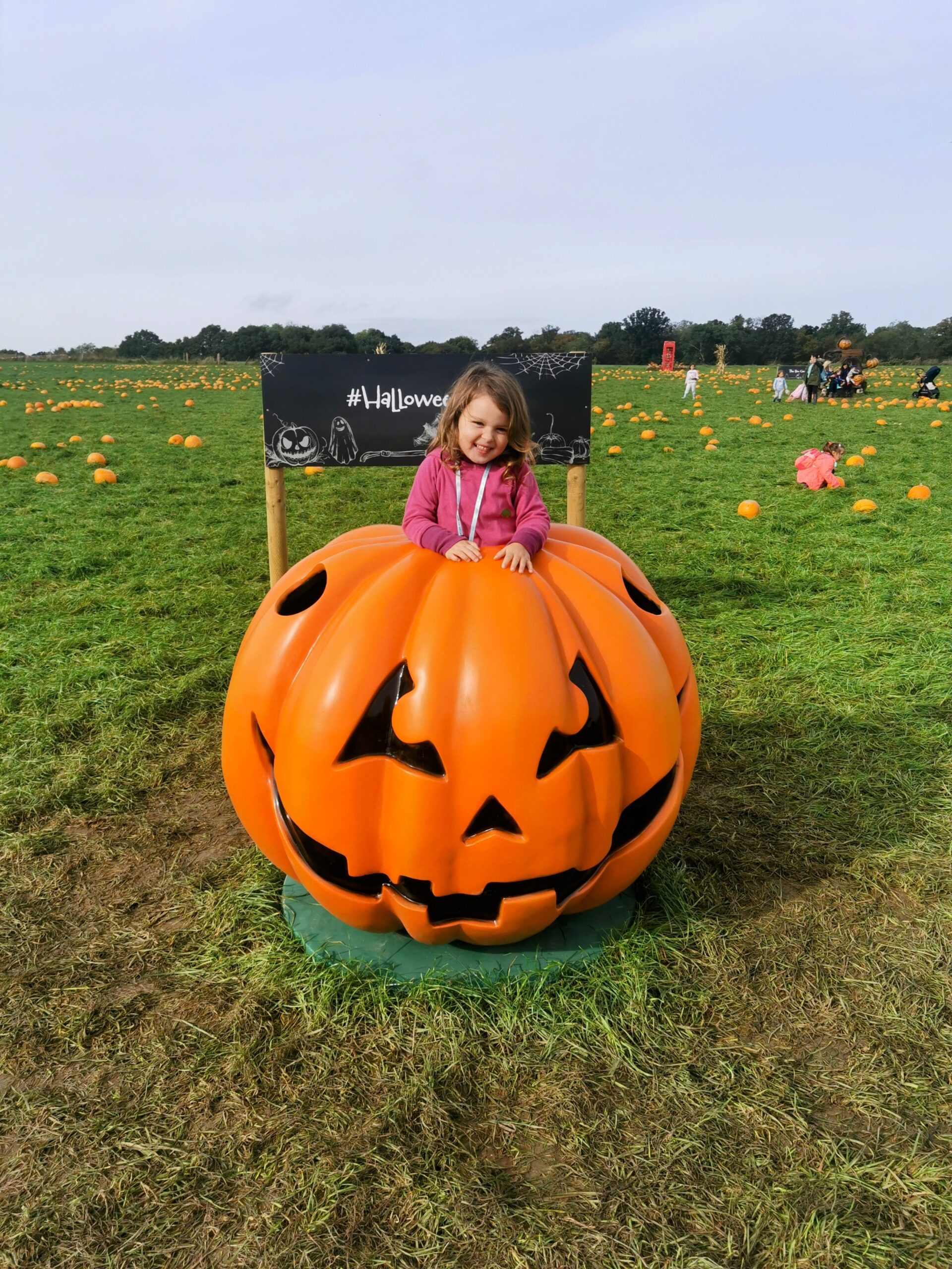 Halloween Pumpkin Festival at Willows Activity Farm.