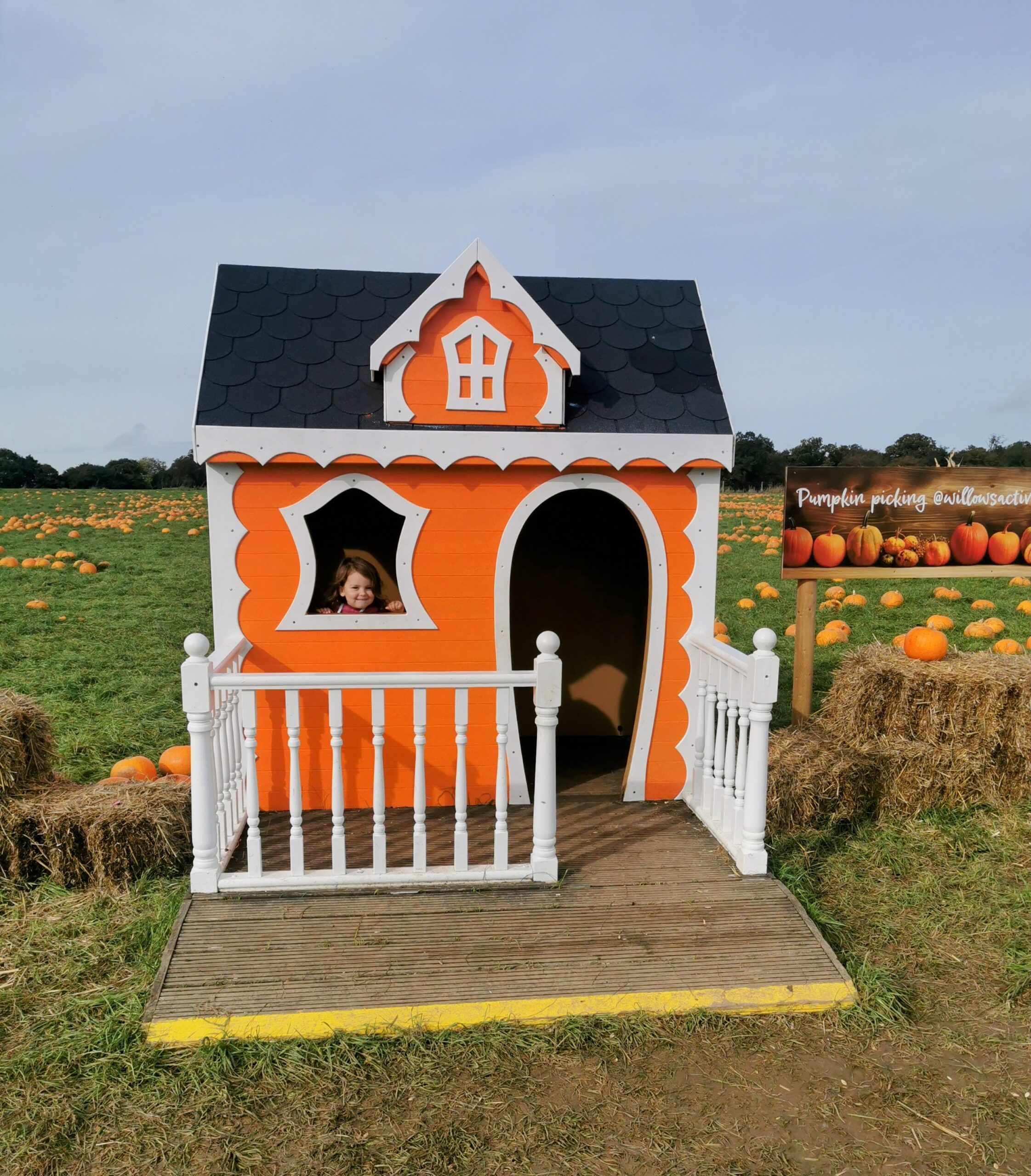 Halloween Pumpkin Festival at Willows Activity Farm.