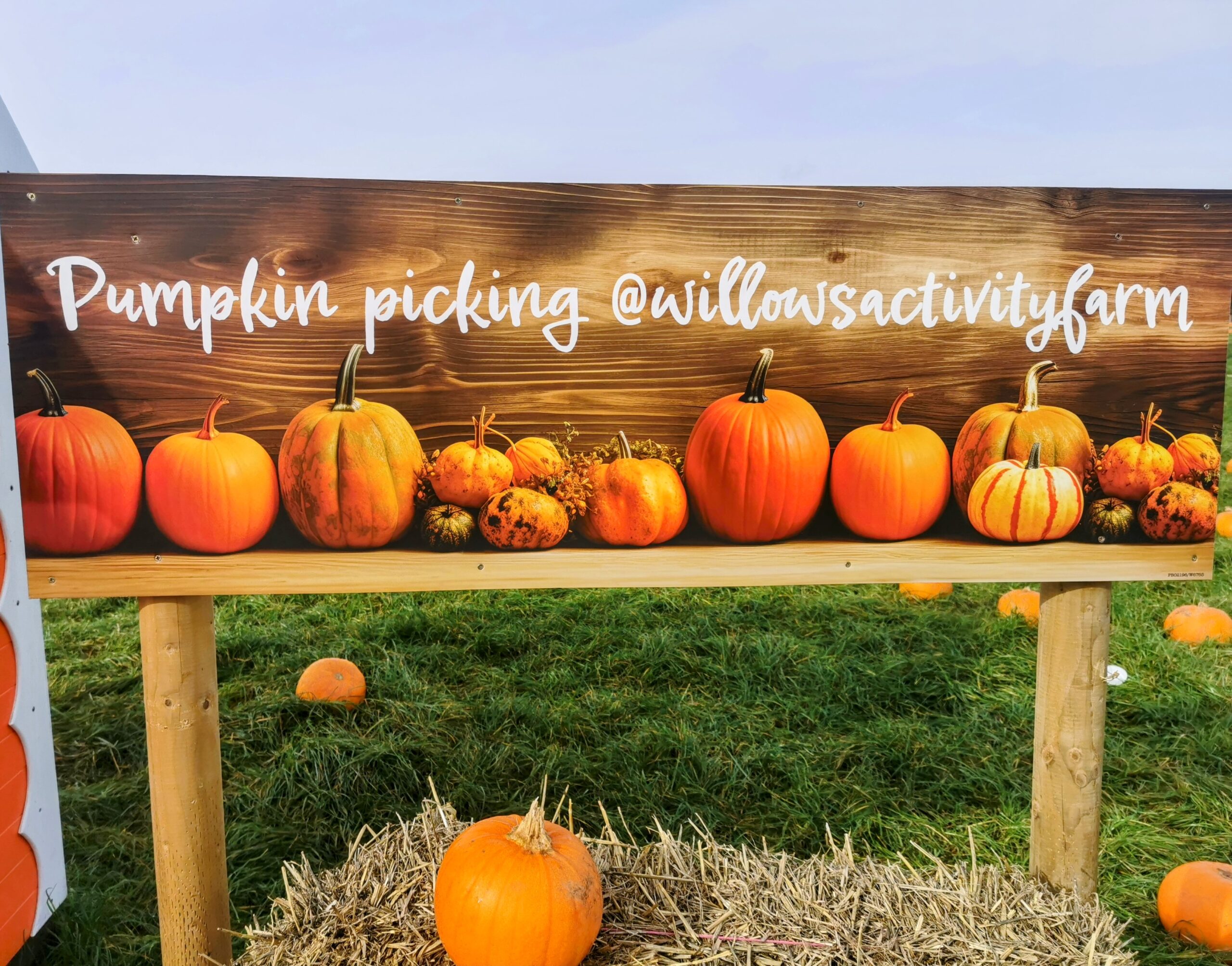 Halloween Pumpkin Festival at Willows Activity Farm.