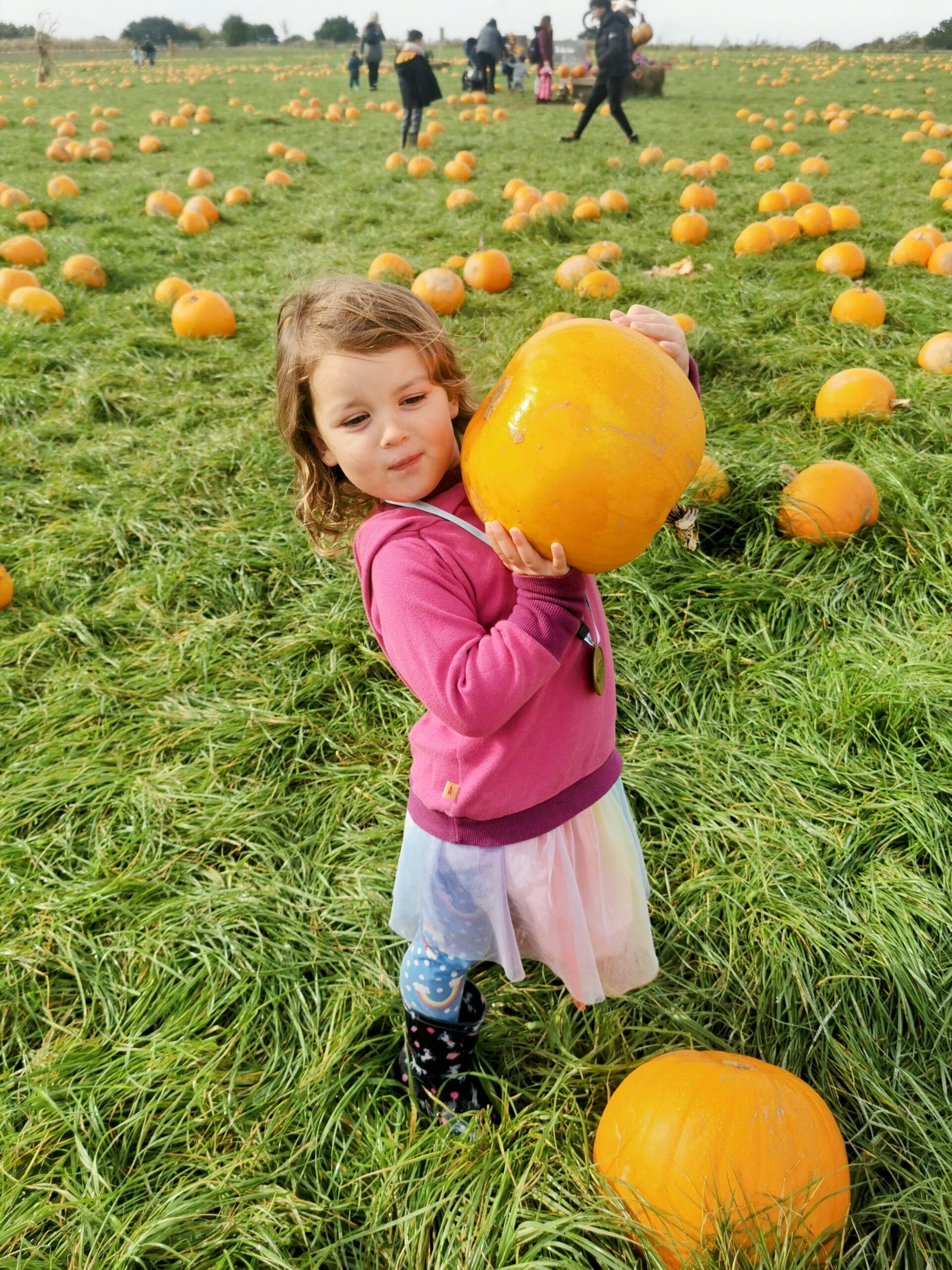 Halloween Pumpkin Festival at Willows Activity Farm.