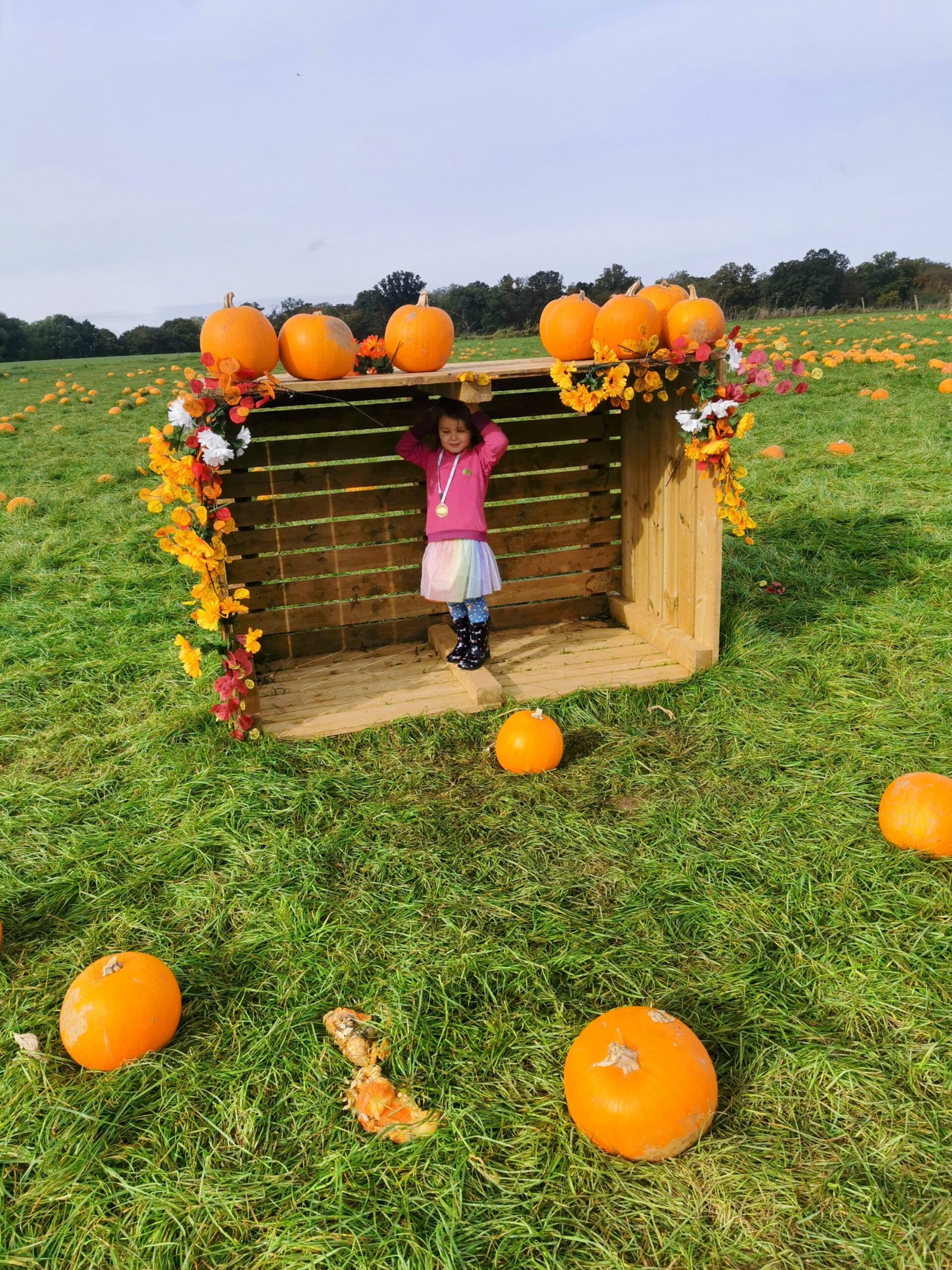 Halloween Pumpkin Festival at Willows Activity Farm.