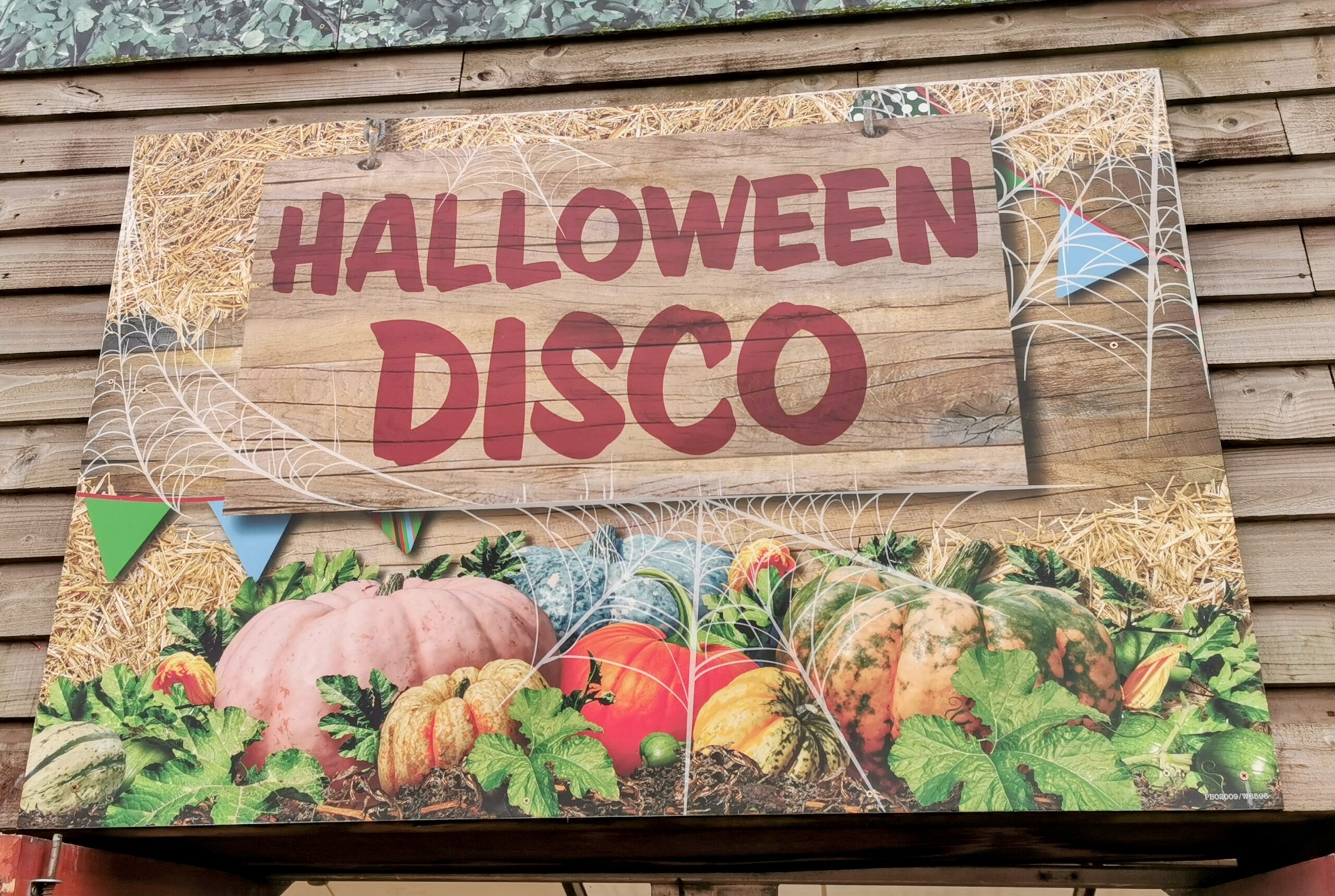 Halloween Pumpkin Festival at Willows Activity Farm.