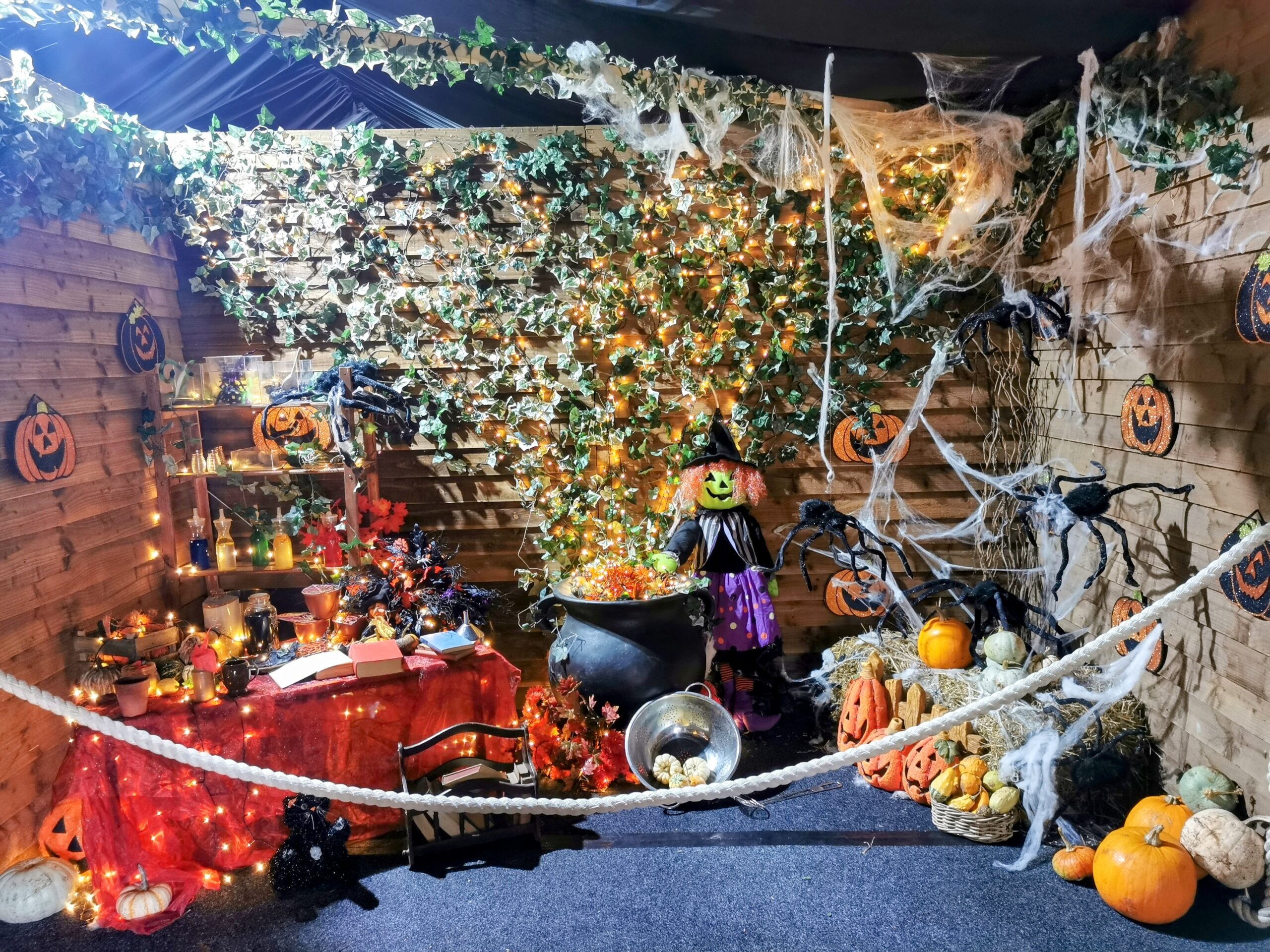 Halloween Pumpkin Festival at Willows Activity Farm.
