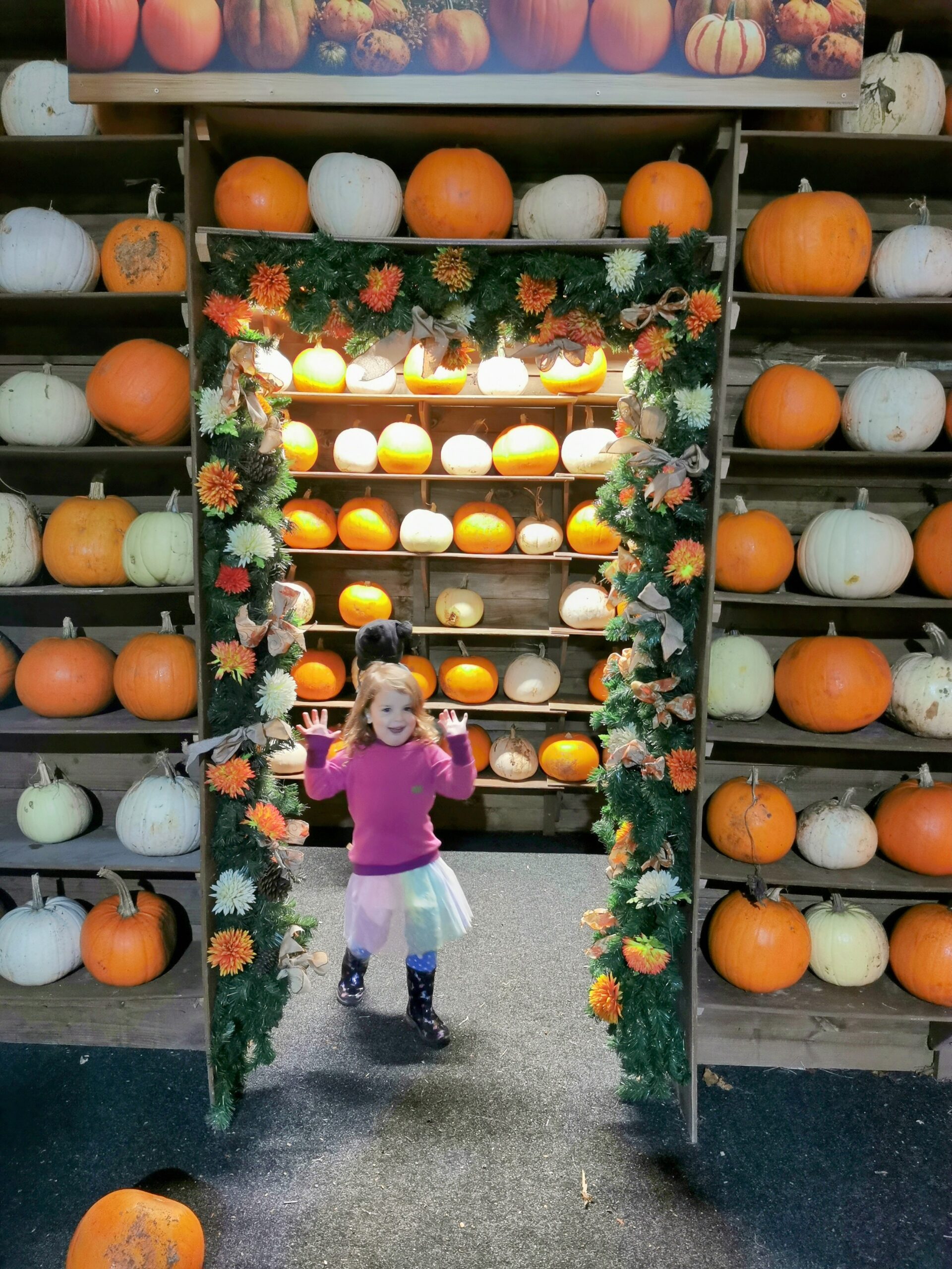 Halloween Pumpkin Festival at Willows Activity Farm.