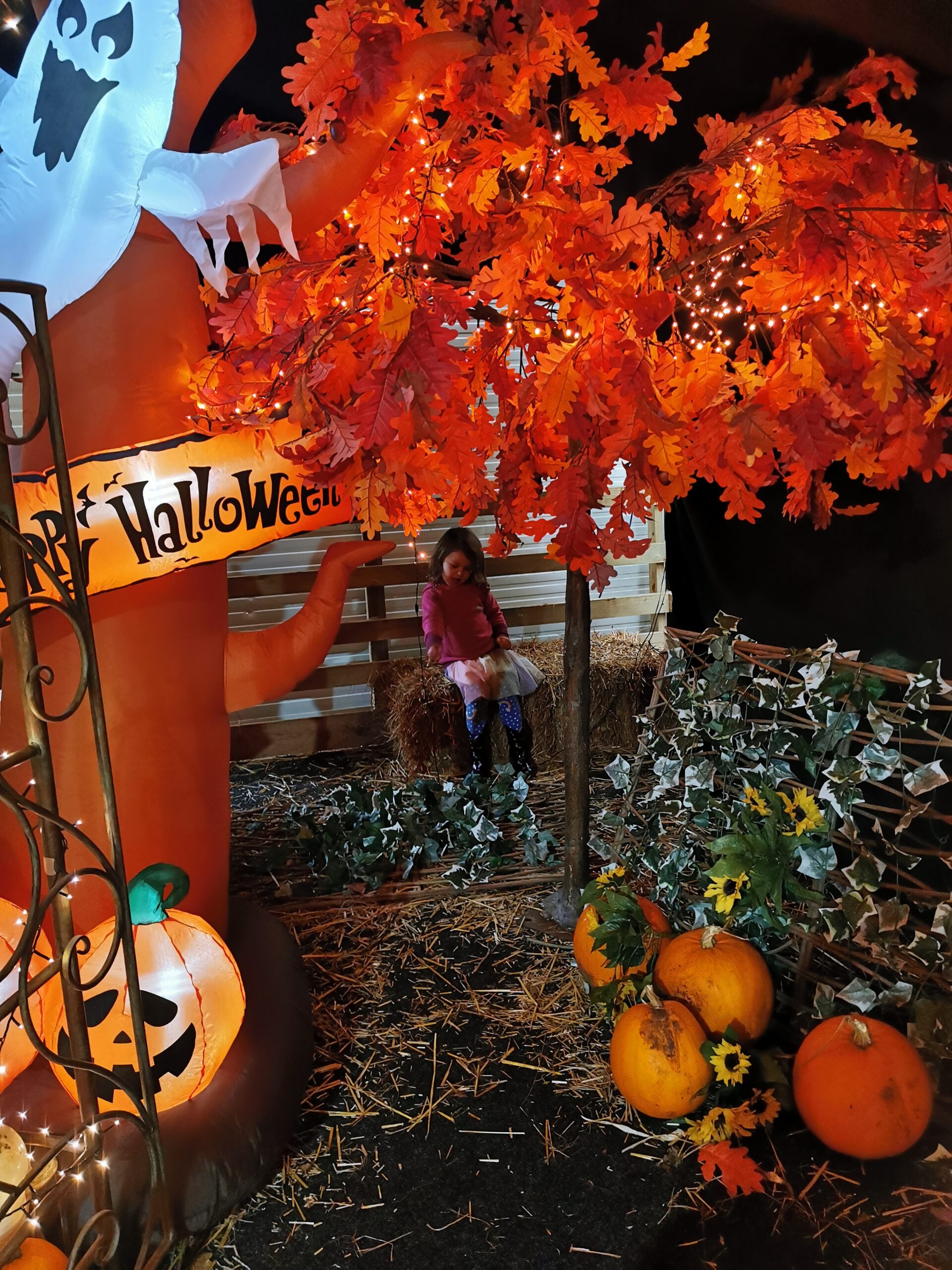 Halloween Pumpkin Festival at Willows Activity Farm.