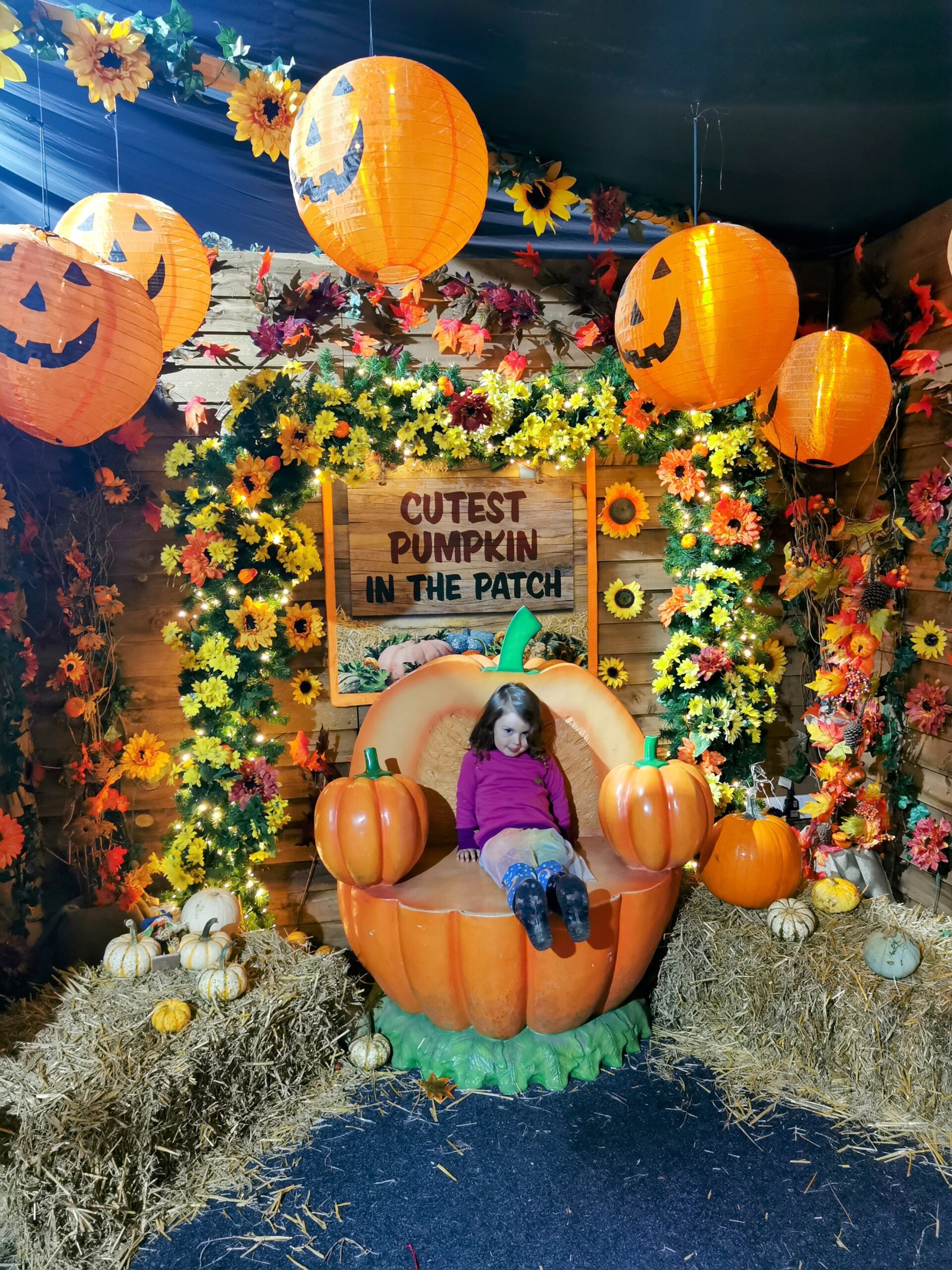 Halloween Pumpkin Festival at Willows Activity Farm.