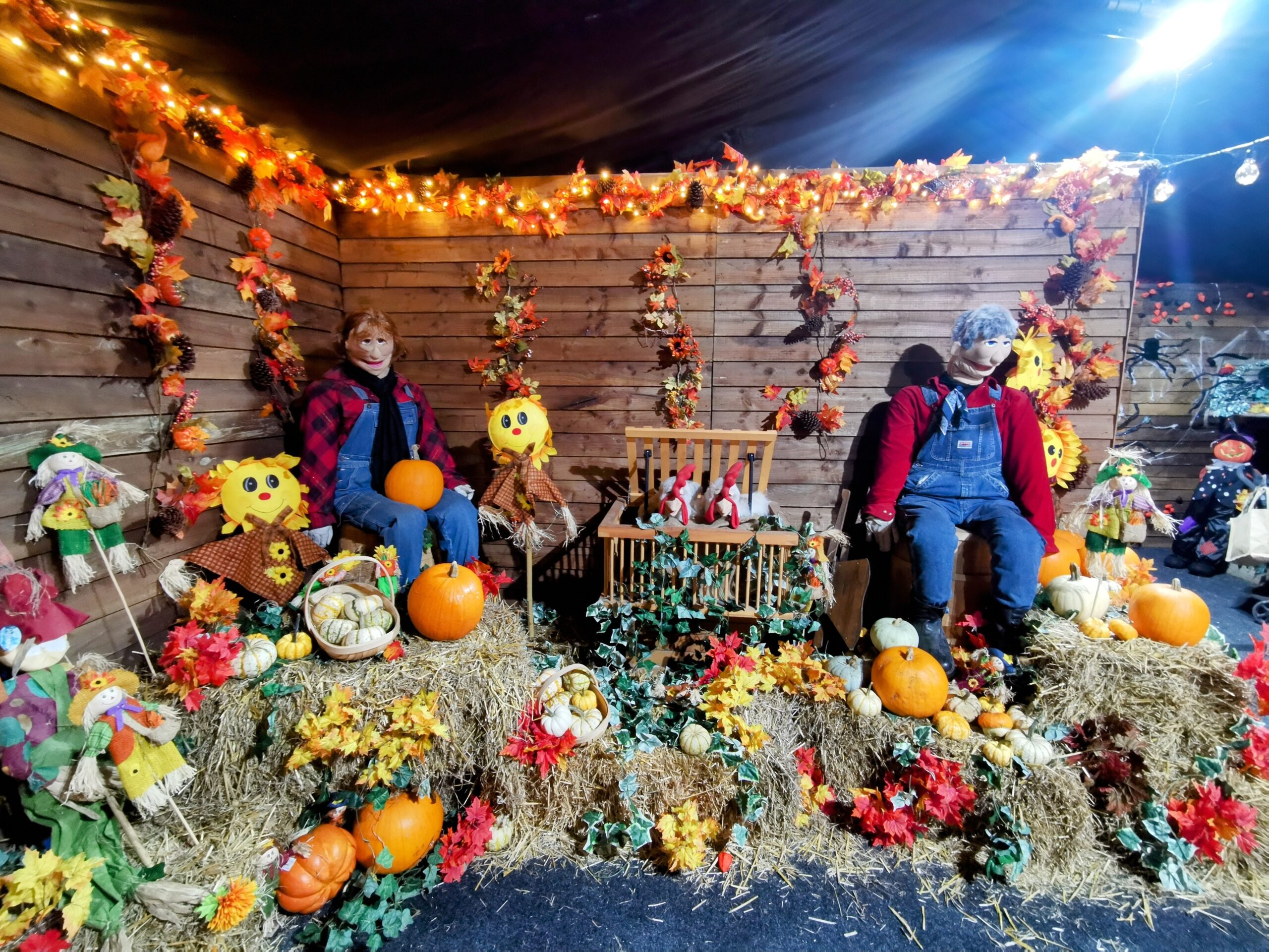 Halloween Pumpkin Festival at Willows Activity Farm.